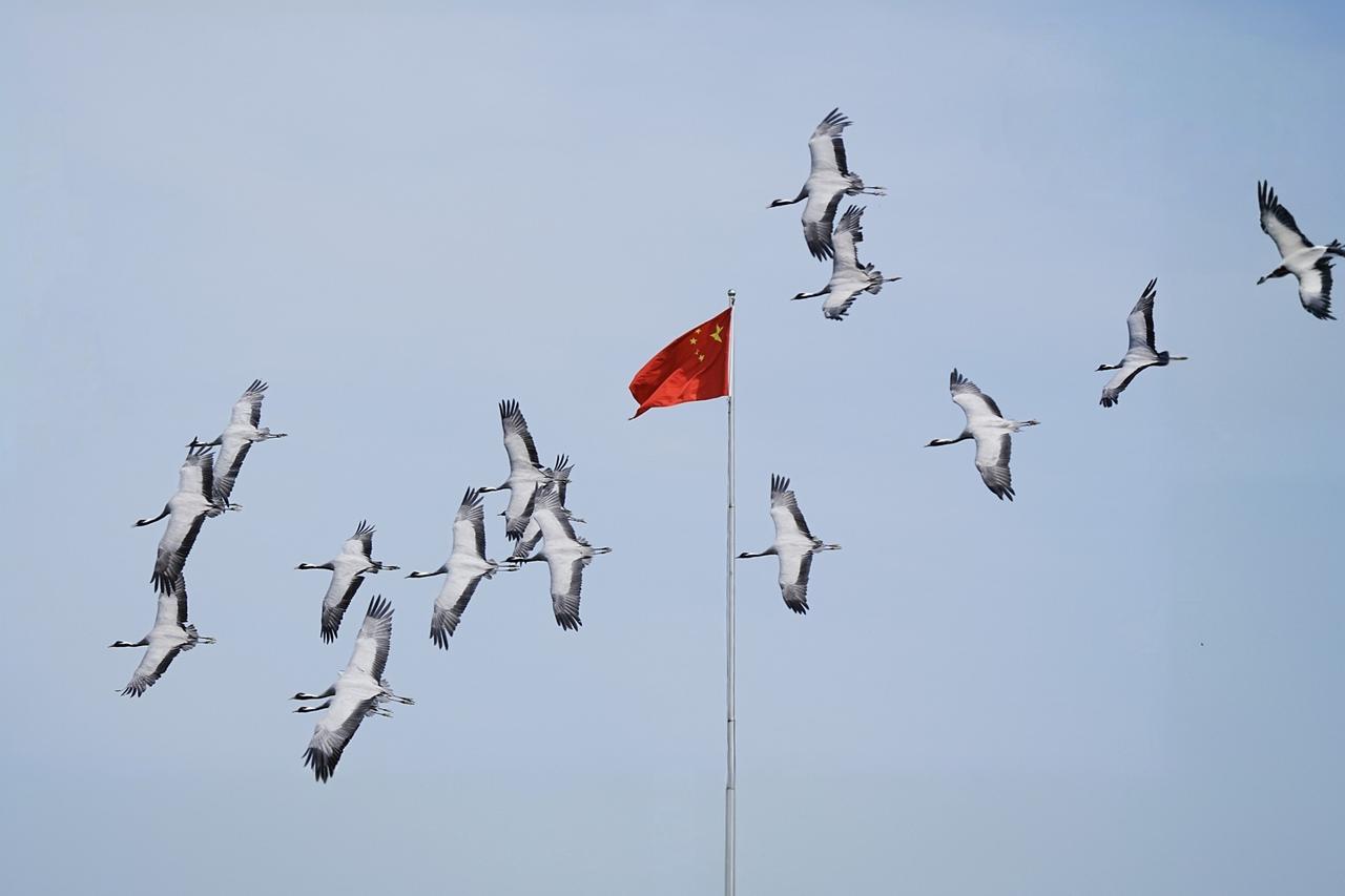 《鹤鸣长空·旗耀中华》
“鹤鸣长空”：鹤在中国文化中象征着长寿、祥瑞与高洁，“长
