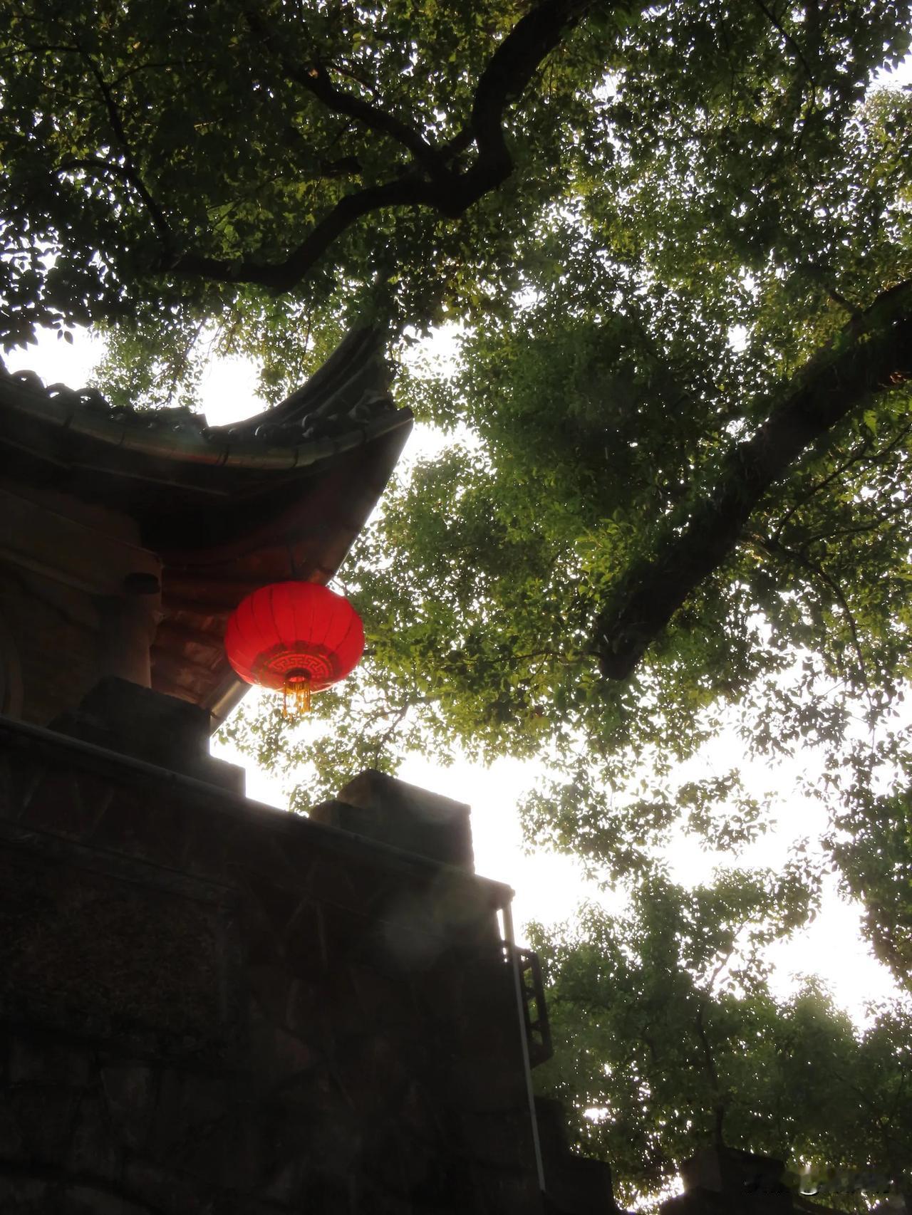 古寺红灯笼，静谧时光里的一抹温暖。溪口