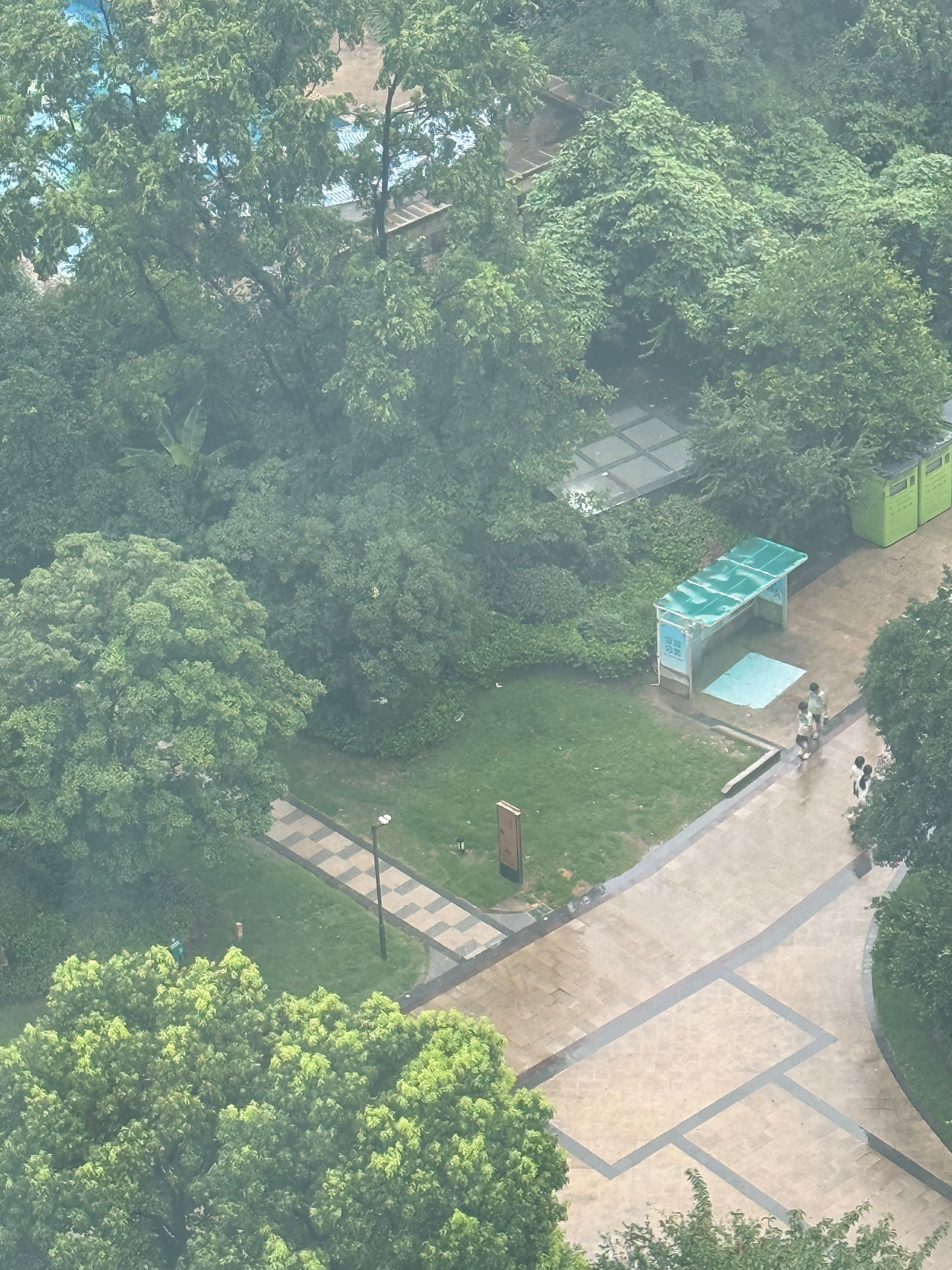 白海豚真的一点也没耽误上班，昨天快下班了开始狂风大作，这会儿已经风平浪静了，杭州
