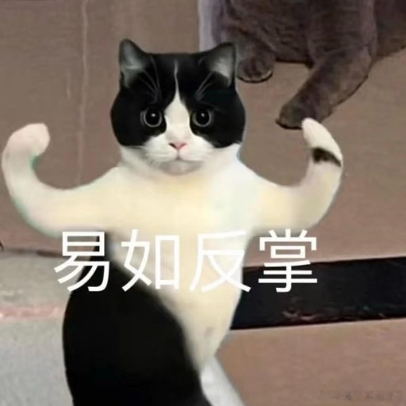 没钱有没钱的养法，那么多生孩子的普通人，你看谁是攒够几百万才生的？如果真的觉得俩