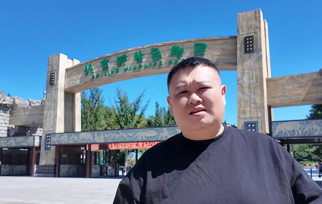 德云社相声演员孙越来到了北京野生动物园，还给大象介绍对象，这是又回到老本行了吗？