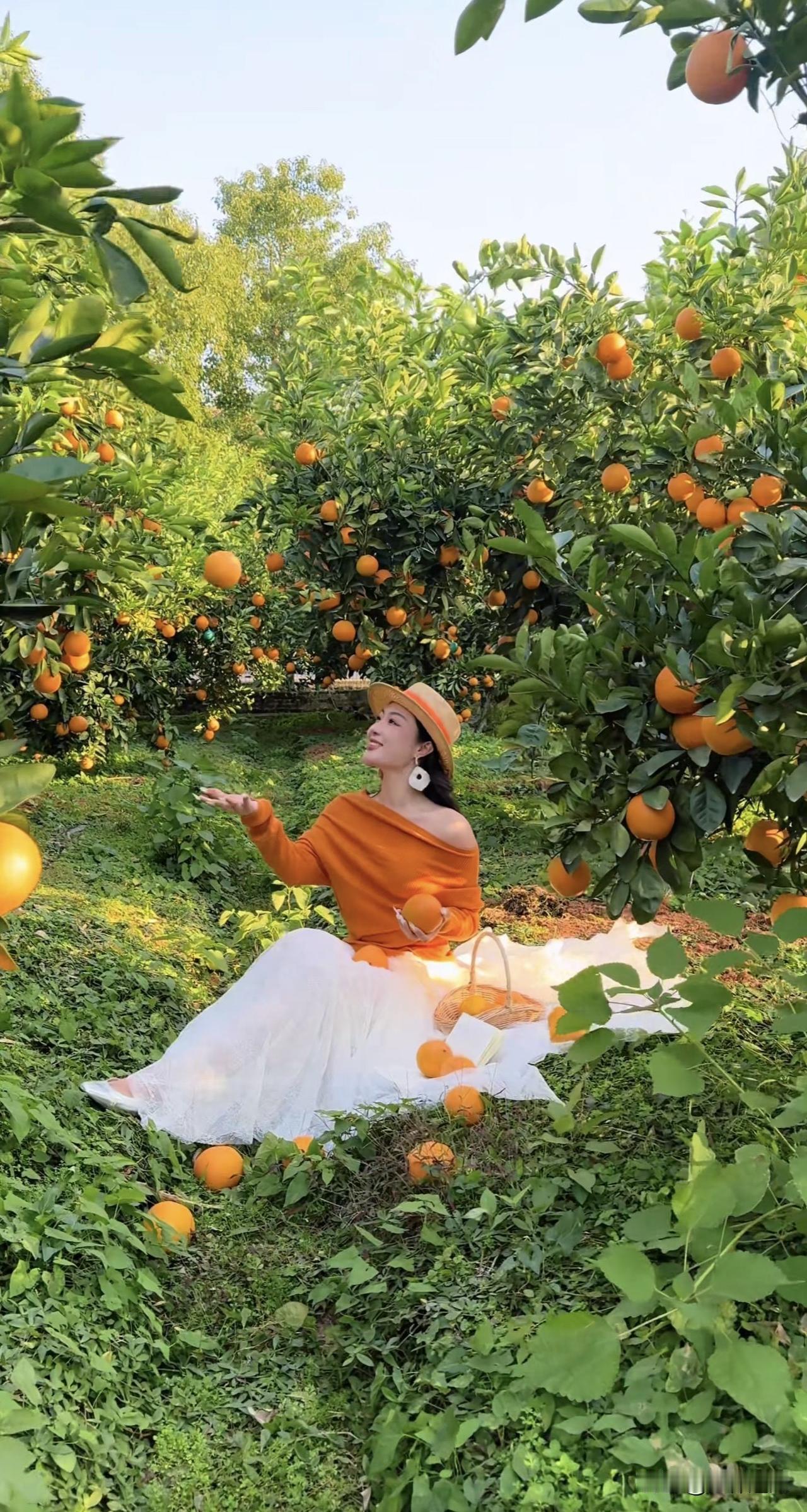 今日立春，万象更新……

一切美好只是刚刚开始！所有期待都将如约而至……

愿你