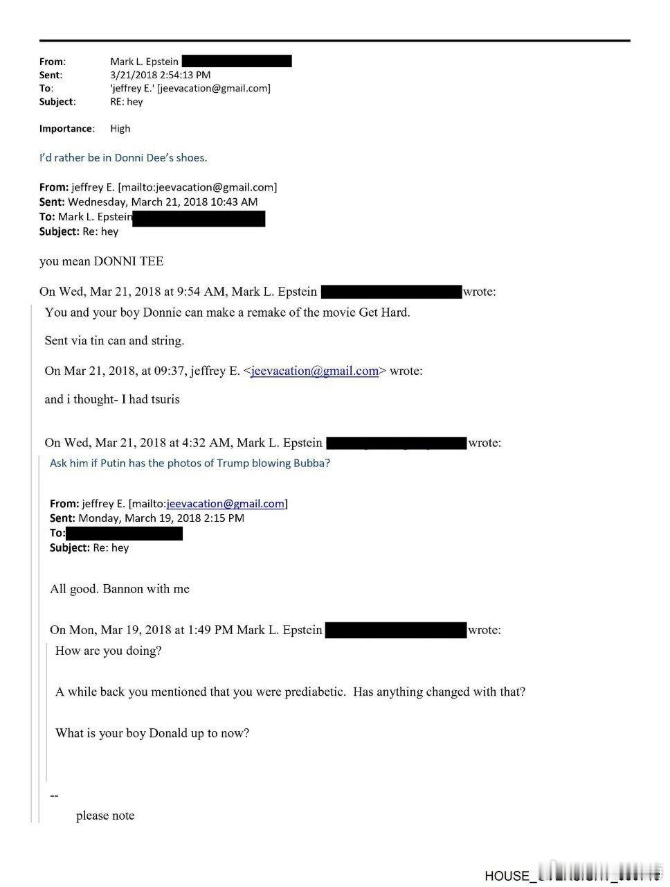 在2018年3月的一封电子邮件中，杰弗里·爱泼斯坦的弟弟马克建议问问史蒂夫·班农