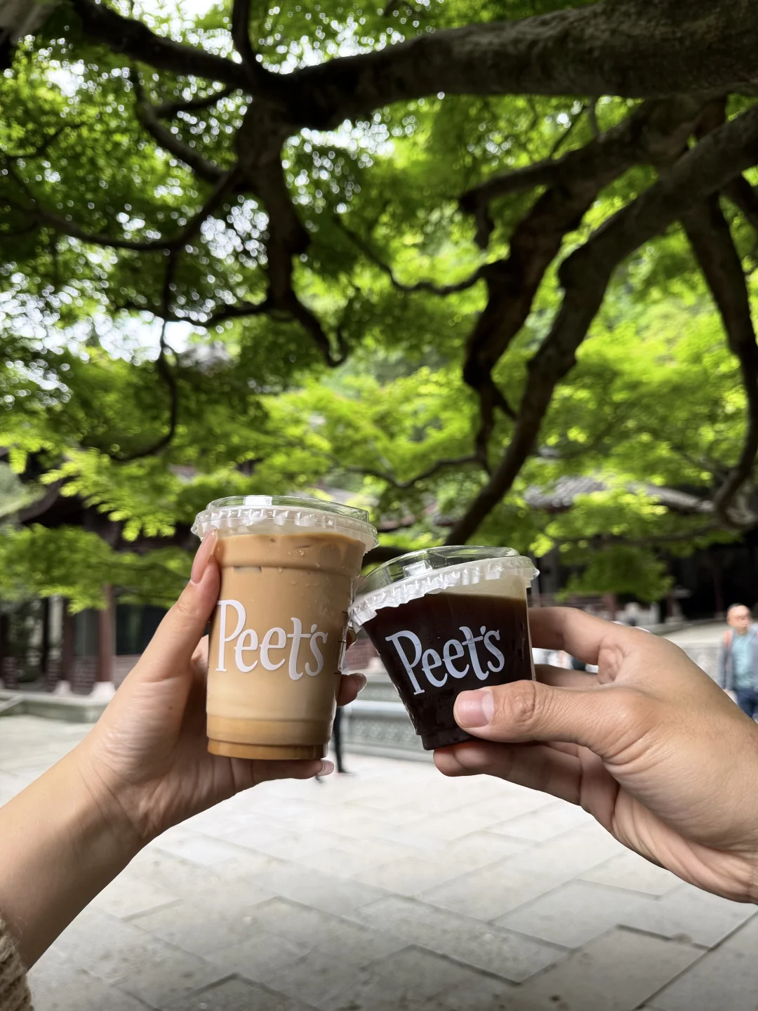 杭州不愧是一个喜木的城市