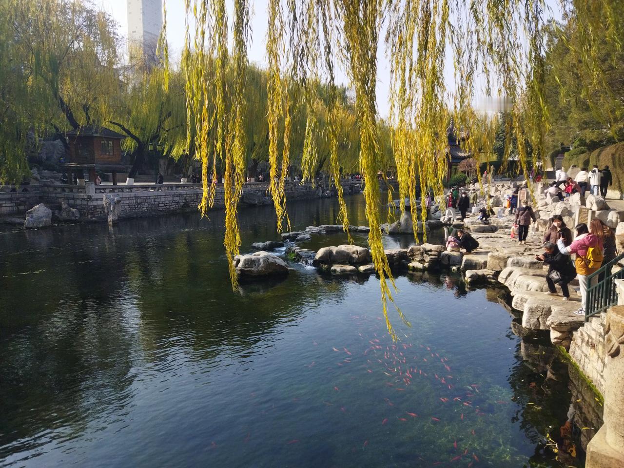 晒图笔记大赛一定要学会止损。