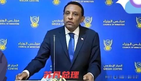 折腾了这么久，苏丹那边总算是传来个像样的消息。

就在1月11号，总理伊德里斯拍