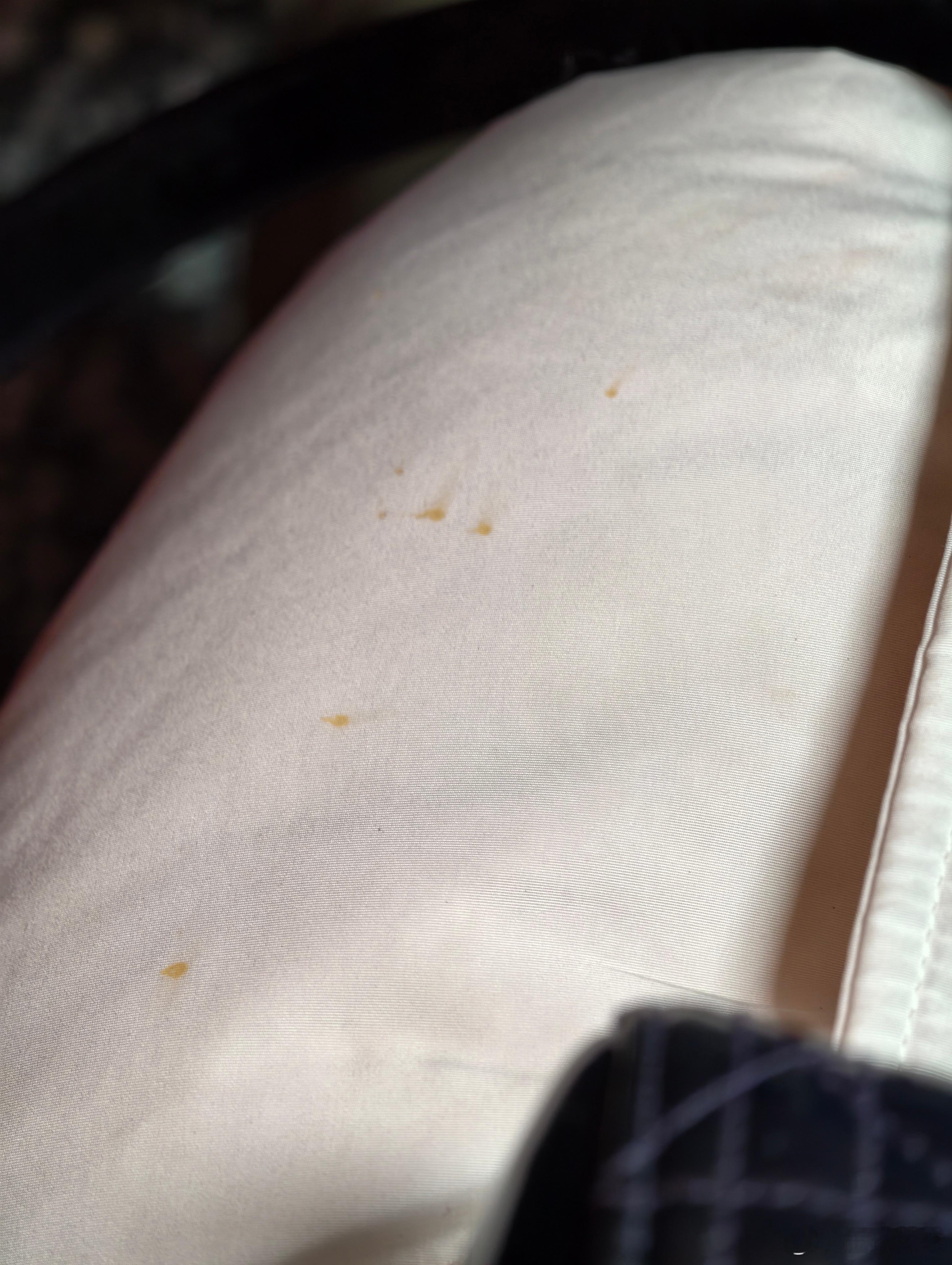 老吃家行为街对面两家面馆都好吃那就都吃🙂↕️（喜提战损版白色羽绒服一件）王珍美