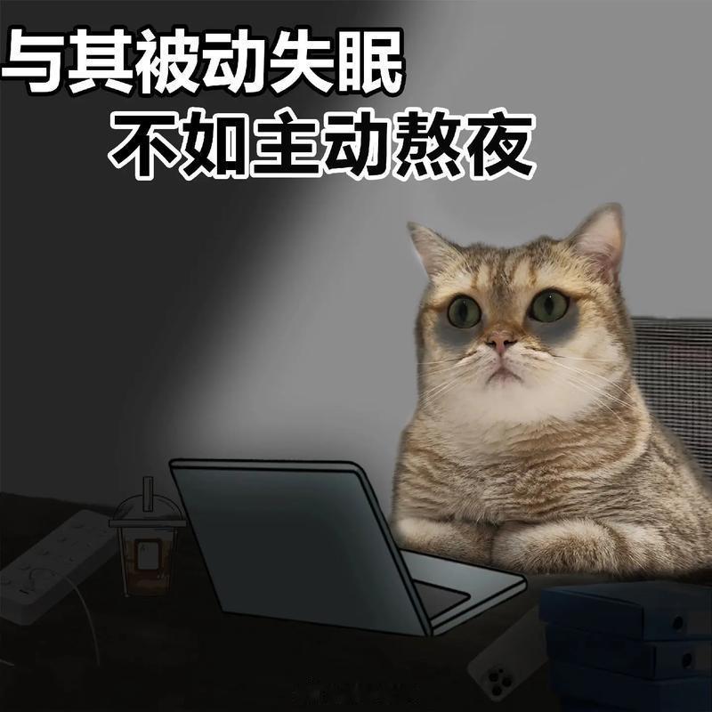 为什么年轻人戒不掉熬夜现在到点都睡不着，一点困意没有，就想玩手机，白天上班又很困