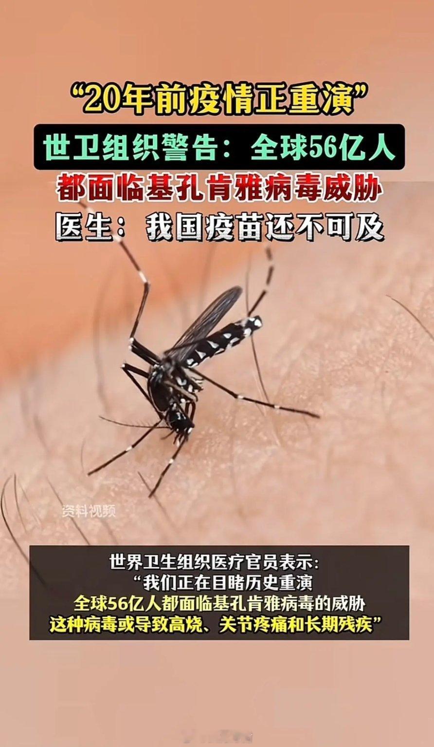 基孔肯雅热这种病毒，第一次听说我国第一次爆发 这真的是极其罕见划重点，第一次爆发