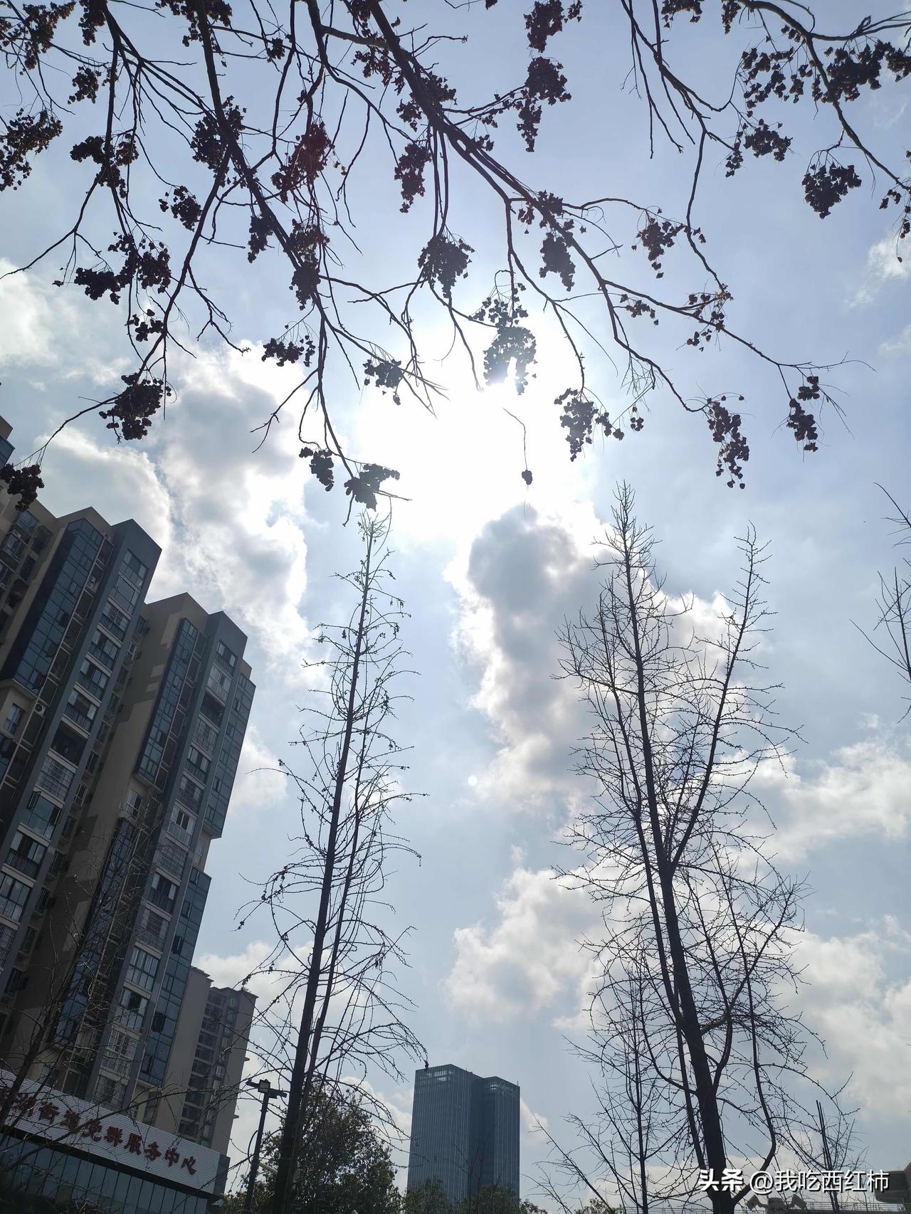 今天试了直播，太尴尬了，不是我能干的
今天试了直播，太尴尬了，不是我能干的
早上