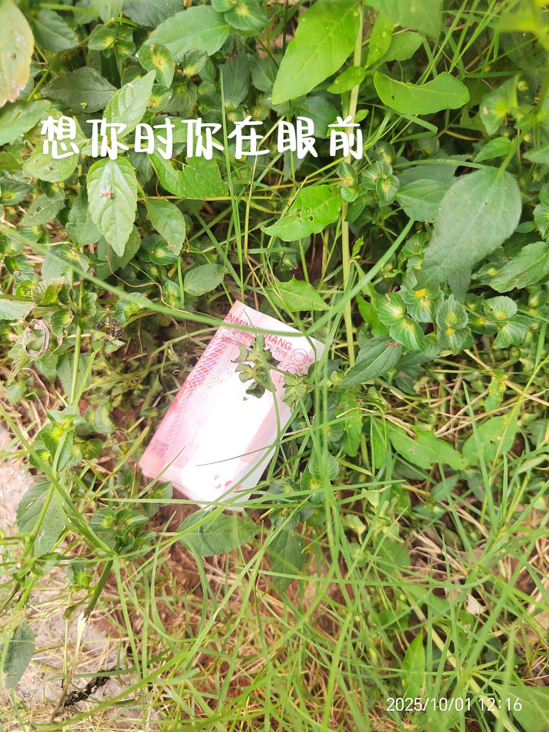 想你时你在眼钱～