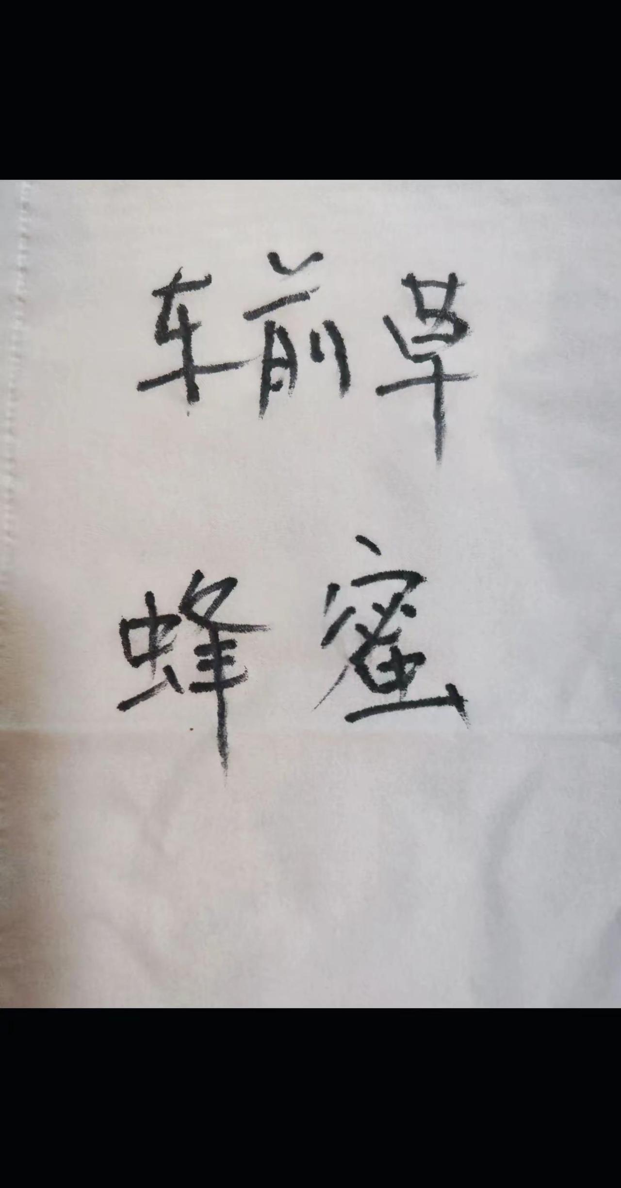 书法 文字的力量 蜂蜜 车前草的妙用 考试周即将来临