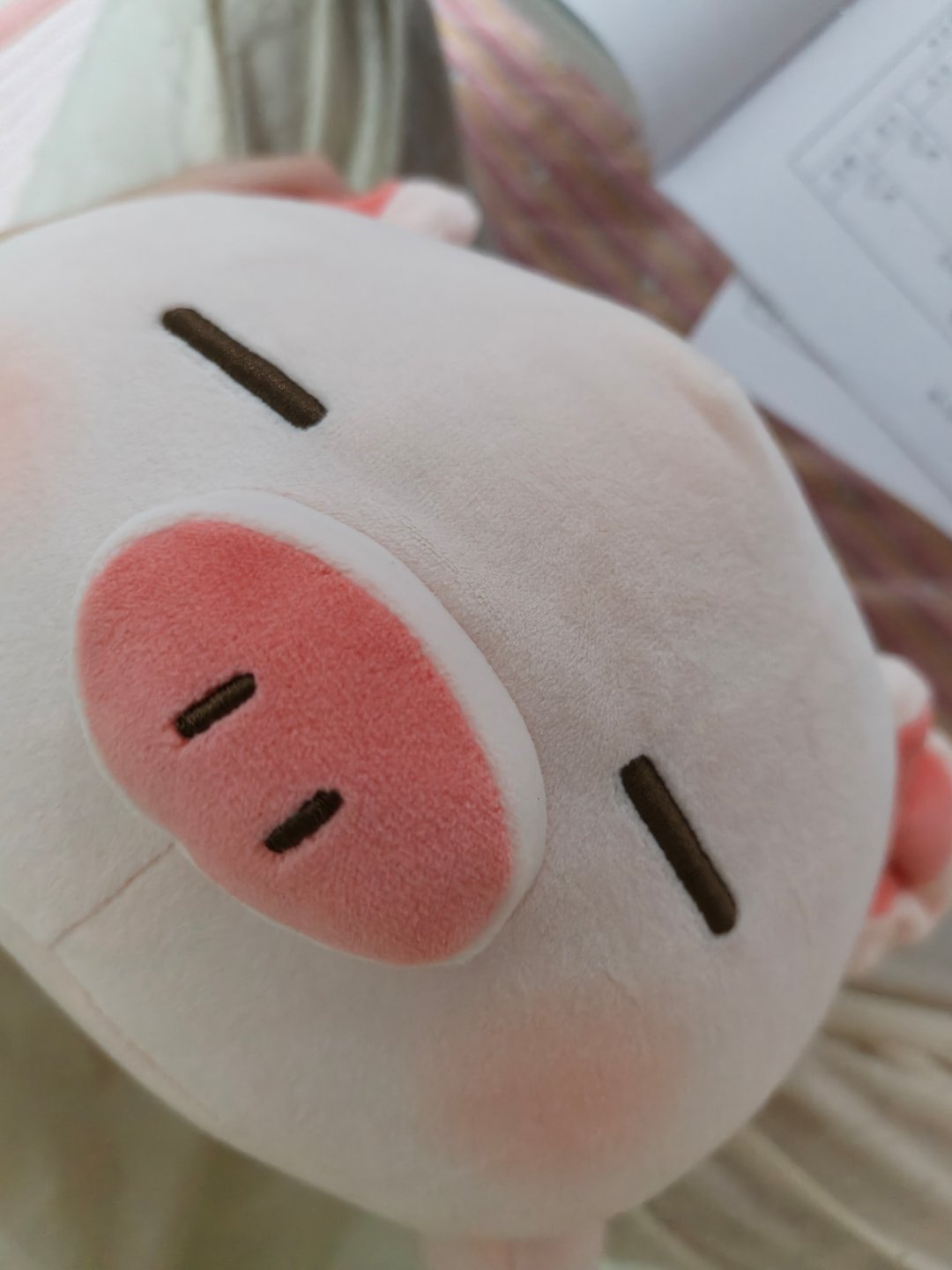 记录一下大学生活 火花明天续🐷 ​​​