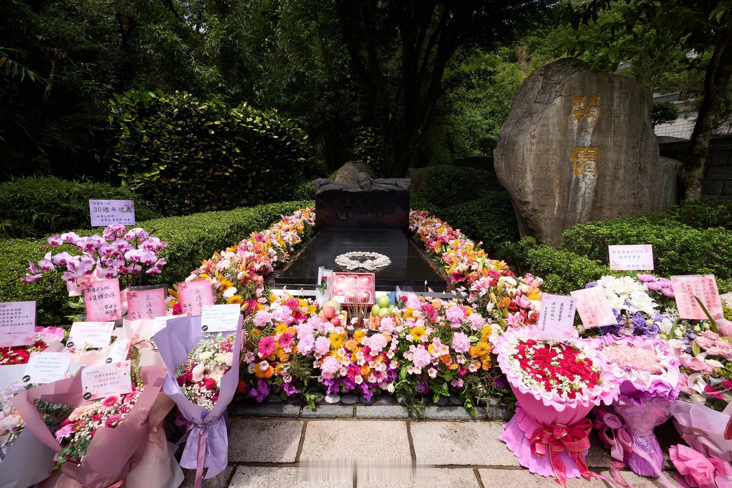 筠园音乐会暖心—— 邓丽君逝世30周年 邓丽君[超话] 花海藏密语“爱你爱我” 