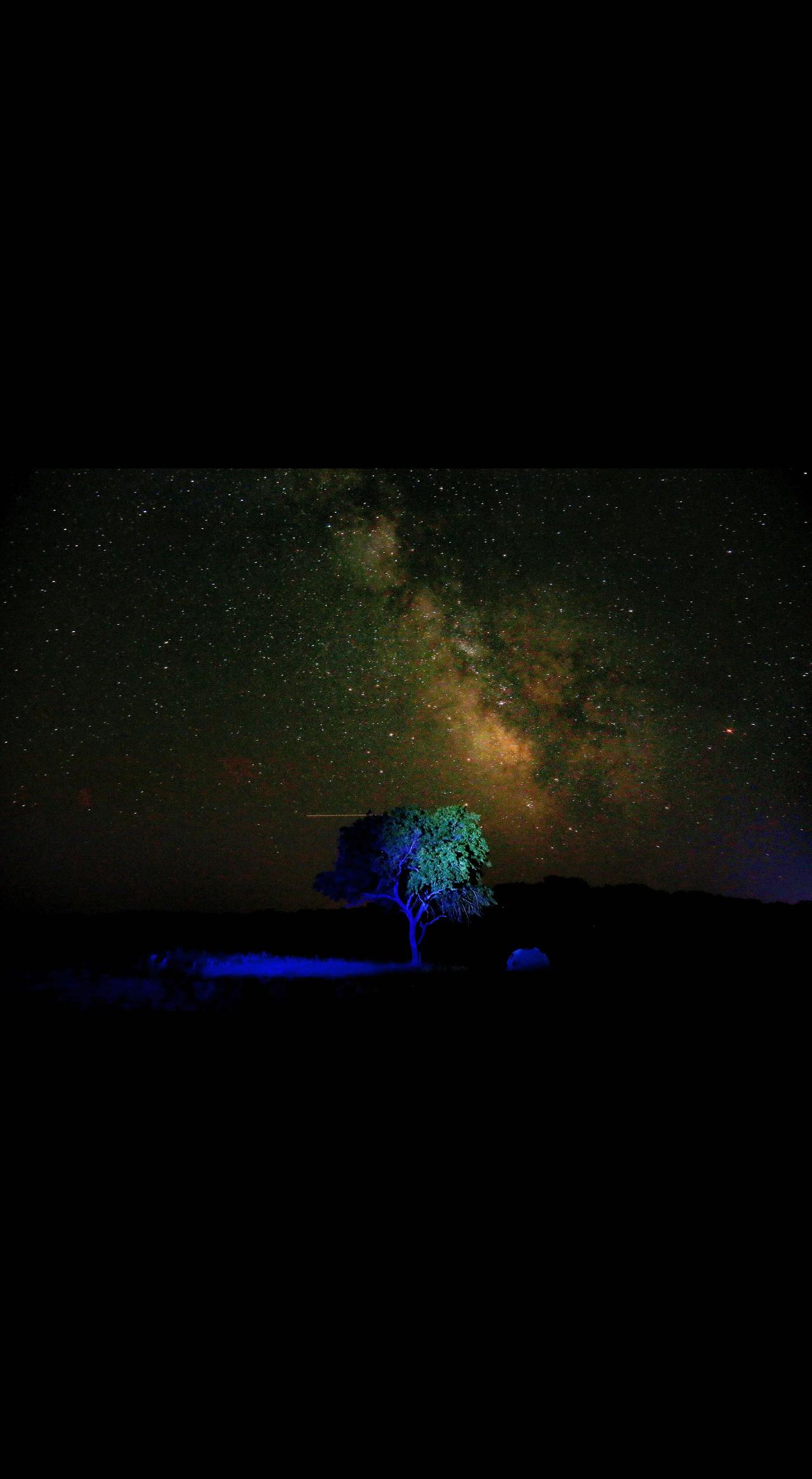 星空下的孤独树