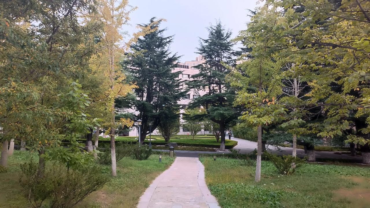 一女大学生花12元网购大枣，货到后发现包装🈶点皱，便要求仅退款，遭到商家拒绝后