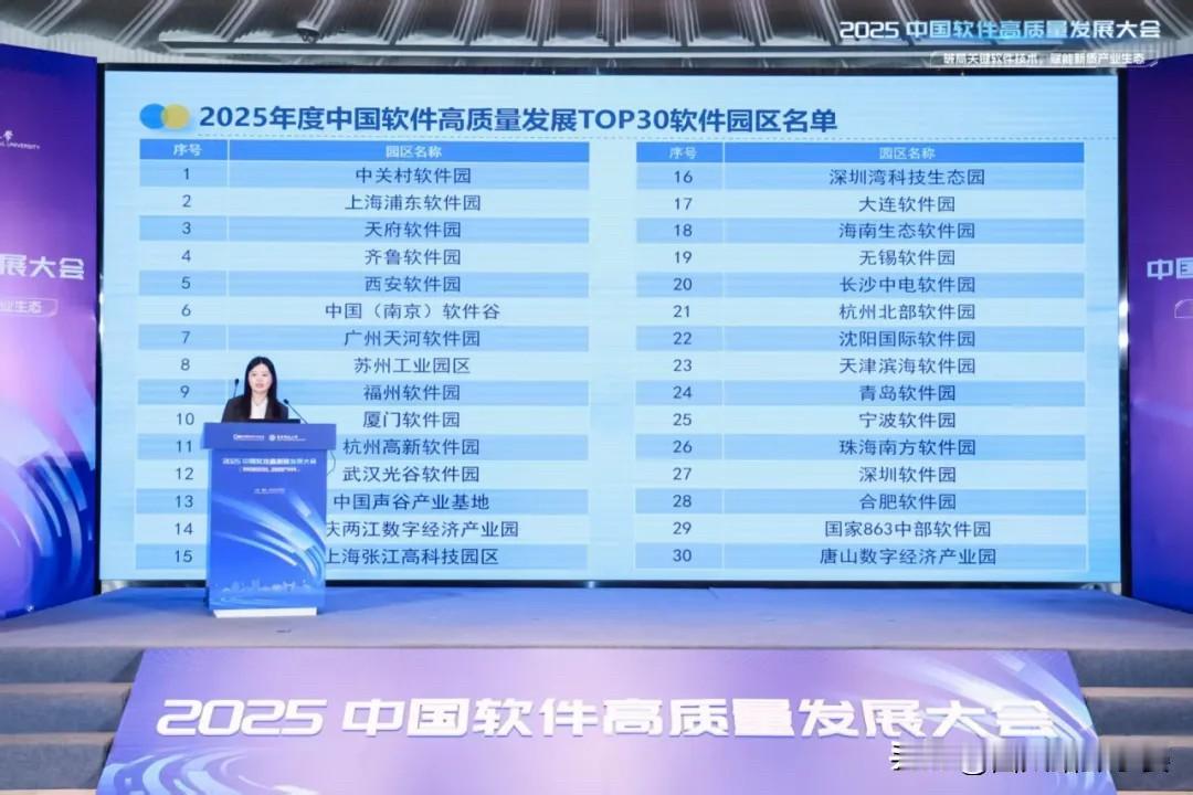 2025软件园区TOP30出炉，这些地方藏着中国软件业的“硬核实力”！

这一榜