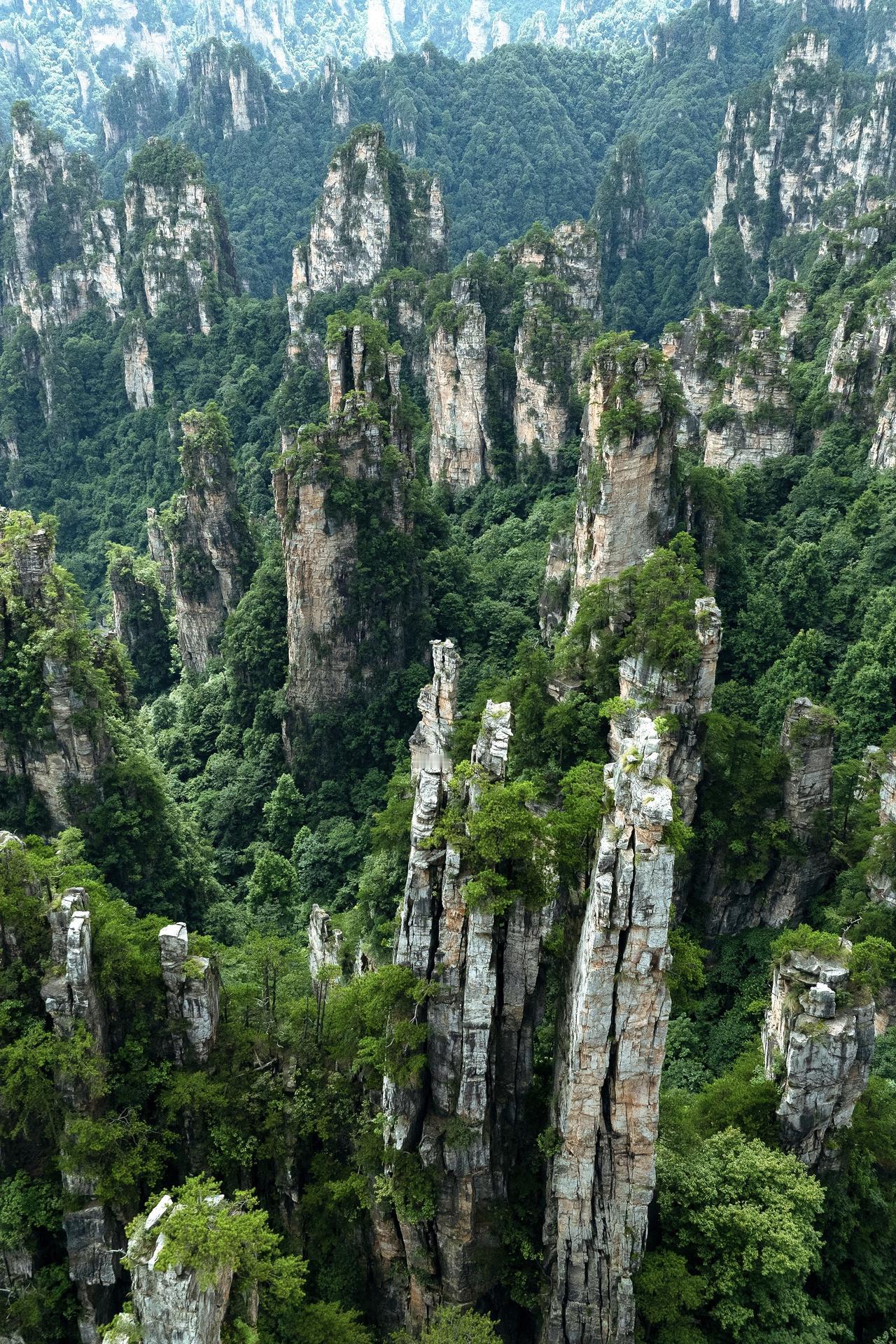 【身在山中，见山不是山；走出群山，方知山只是山；如果能看清山的全貌时，山已经离你