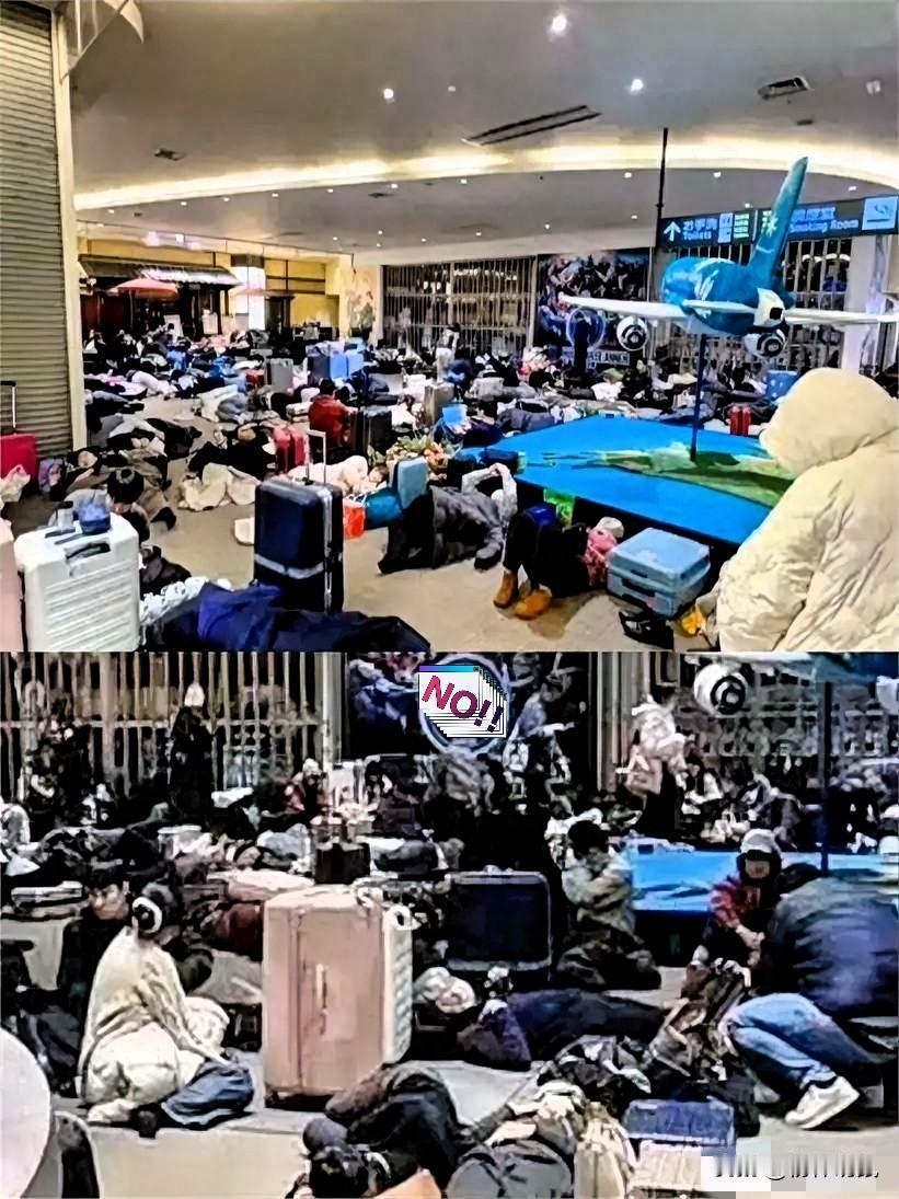 听旅行社发小吐槽完北海道这事儿，我是真觉得，有些人的遭遇纯属自找，活该！
 
半