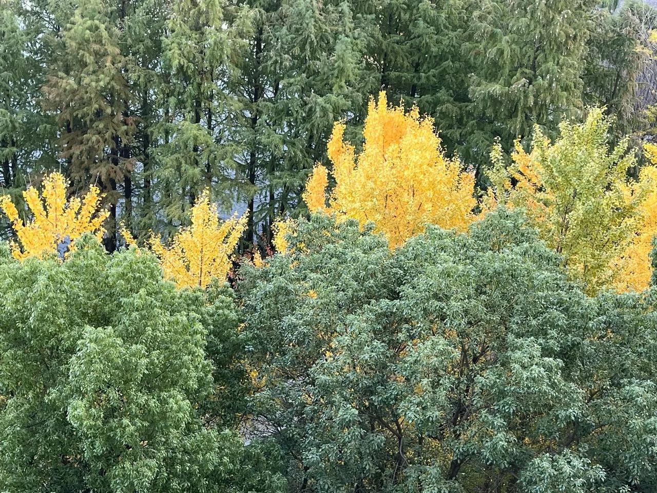 青黄相接
（人间至味是清欢）阴阳两极 生万物相似 阴阳相通 阴阳相等 阴阳两面 
