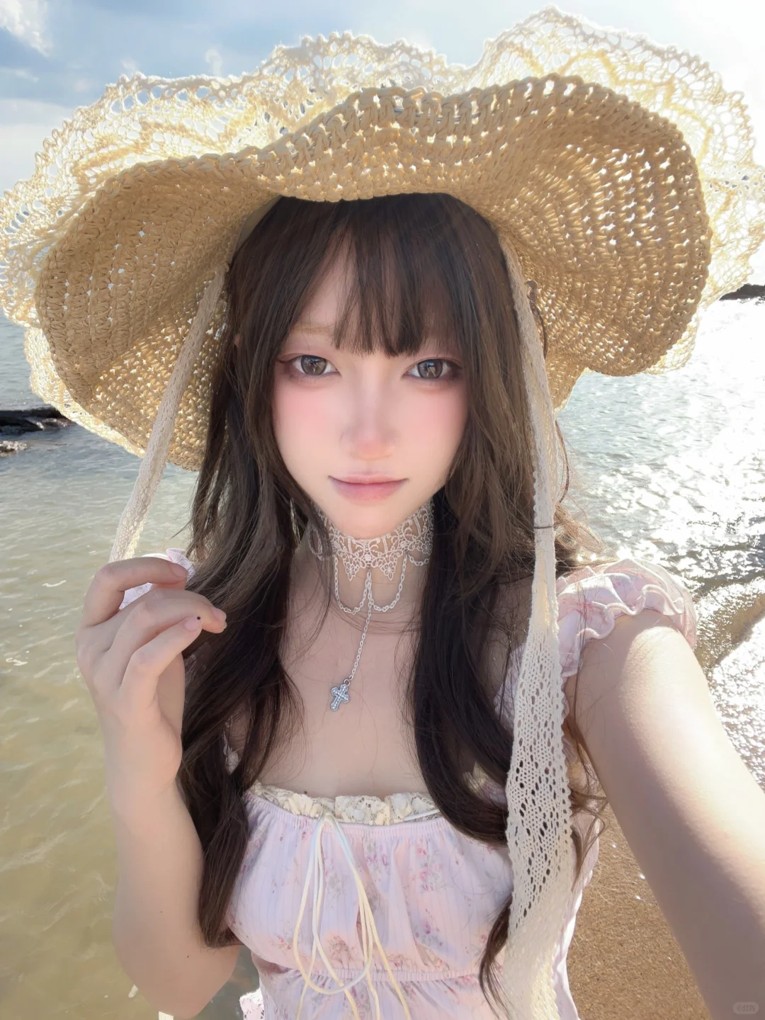 我是一只太阳能蟑螂