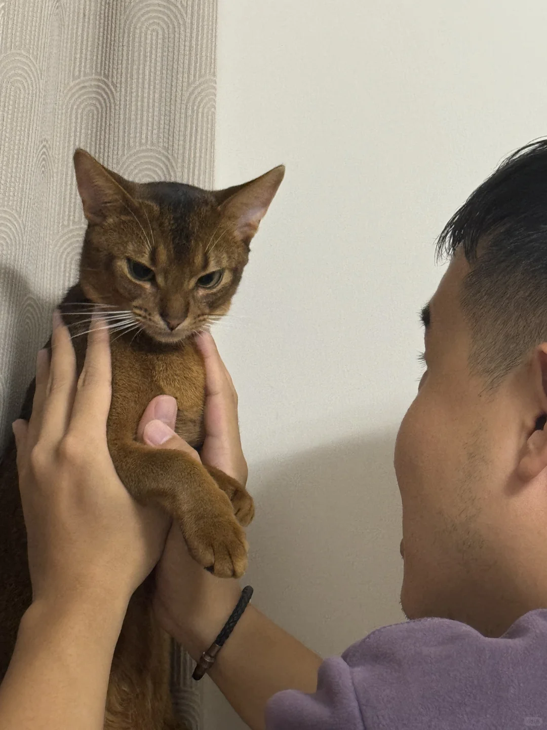 这小猫怎么会有表情🥺呀