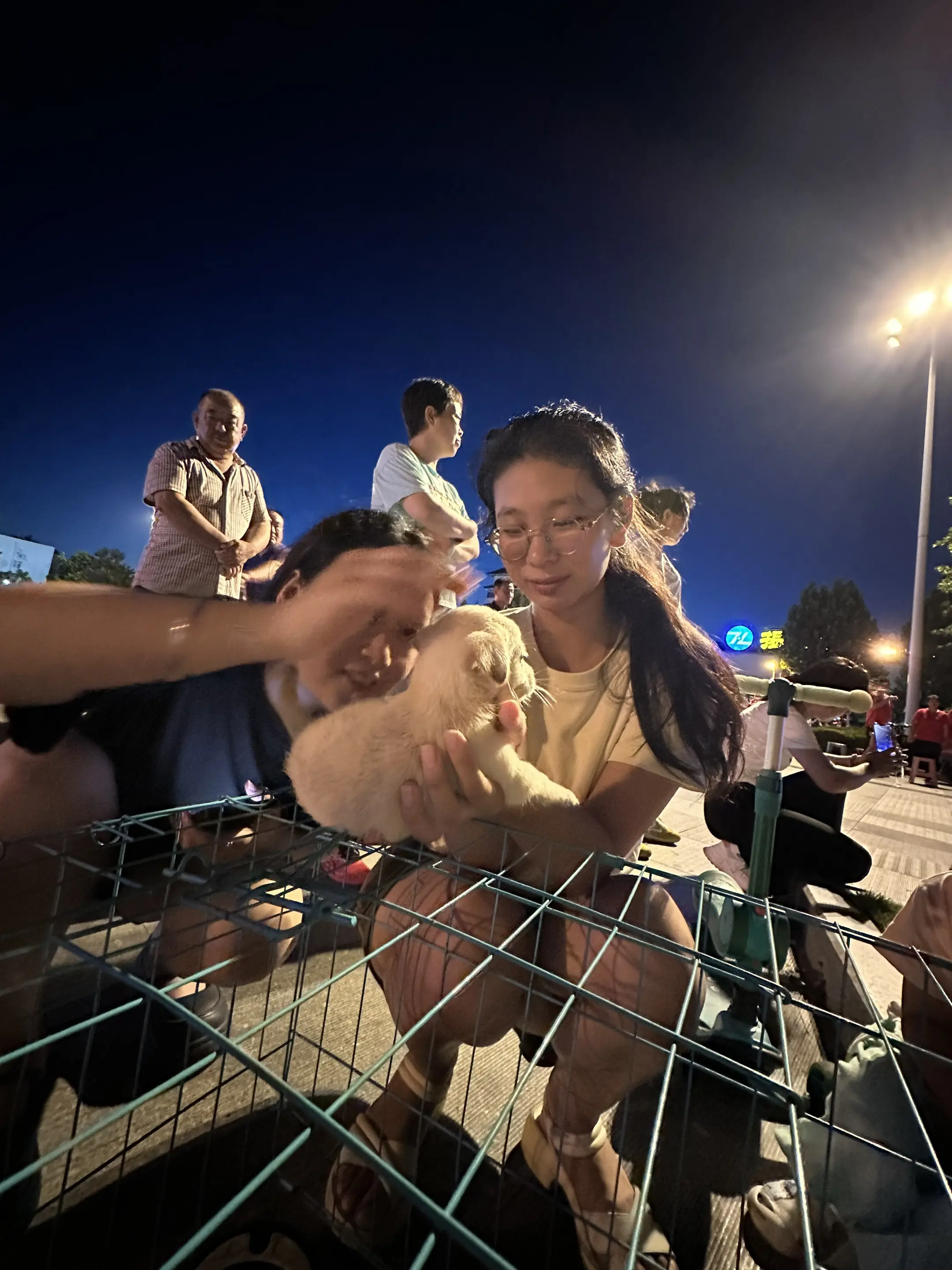 希望越来越多的年轻人像图片里的美女一样有爱心，也希望每一个小狗狗都能有...
