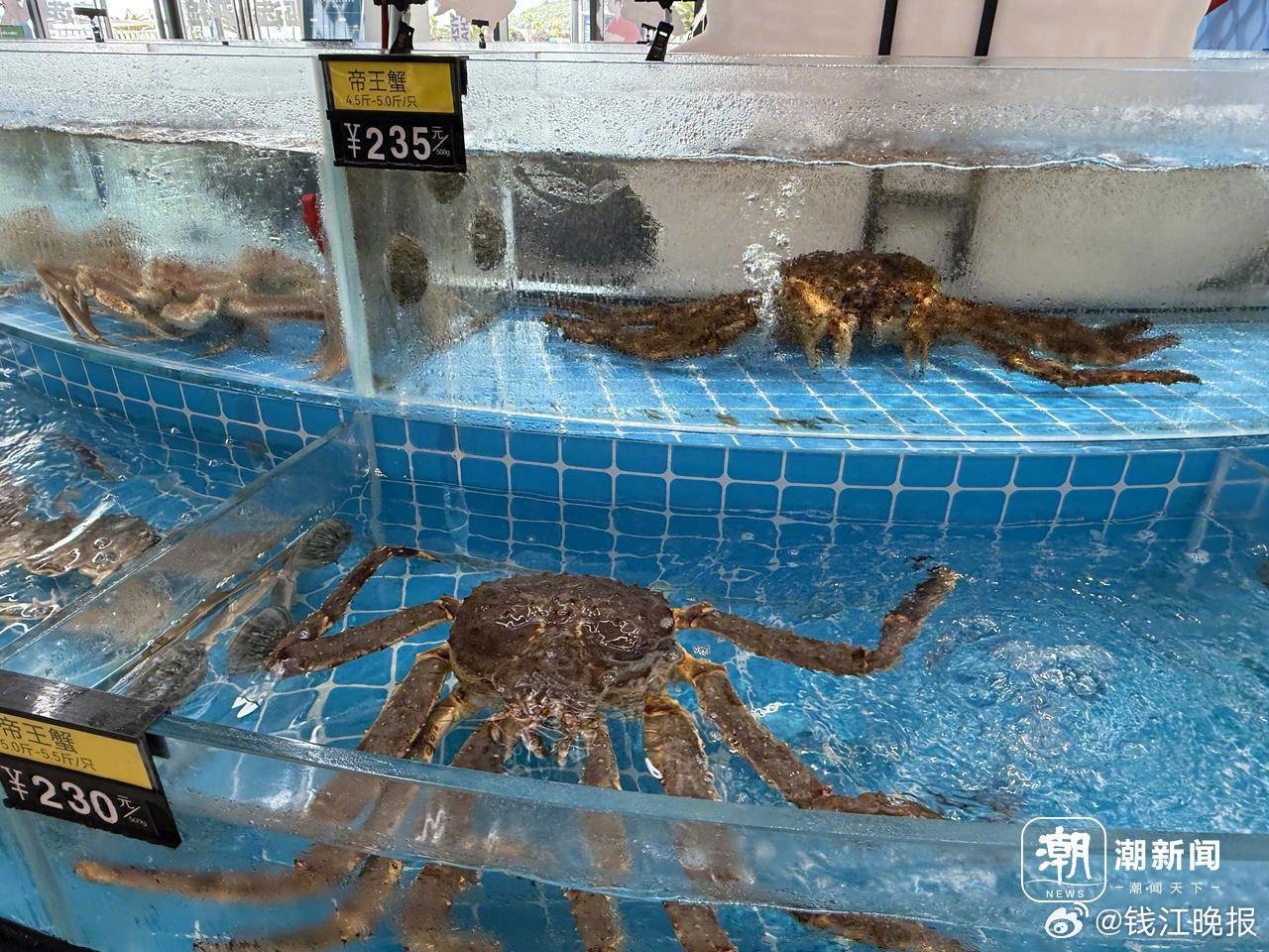 #东海休渔期浙江餐桌上鲜味不断#【东海禁渔期，浙江餐桌上为何“鲜不断”？】#帝王