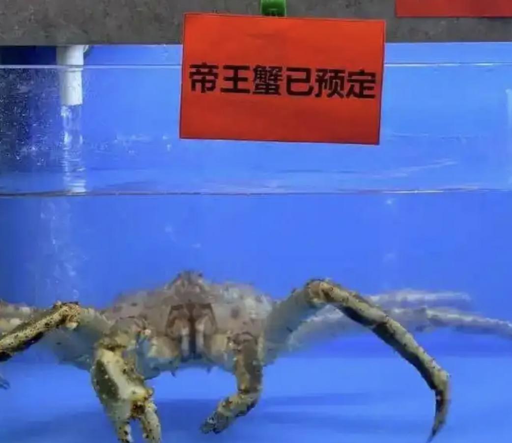 一所能包容万象的大学，为何却容不下999元的帝王蟹？
前段时间南京大学仙林校区第