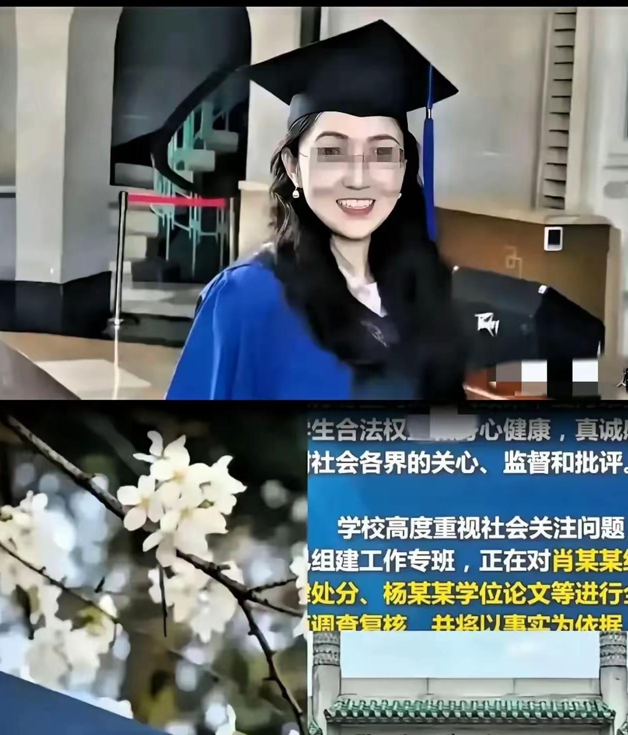 家人们，大反转！曾闹得沸沸扬扬的杨某媛状告母校案，终于有结果了。法院把她的诉求全