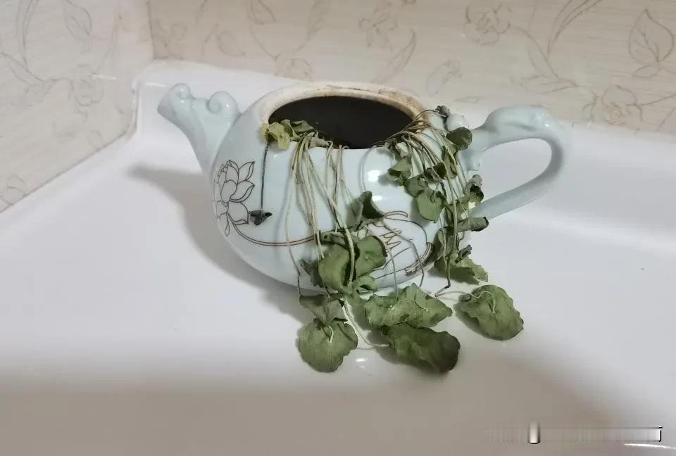完蛋了完蛋了!

前几天下班的时候我心不在焉烧了开水，又没注意马上就要到下班时间