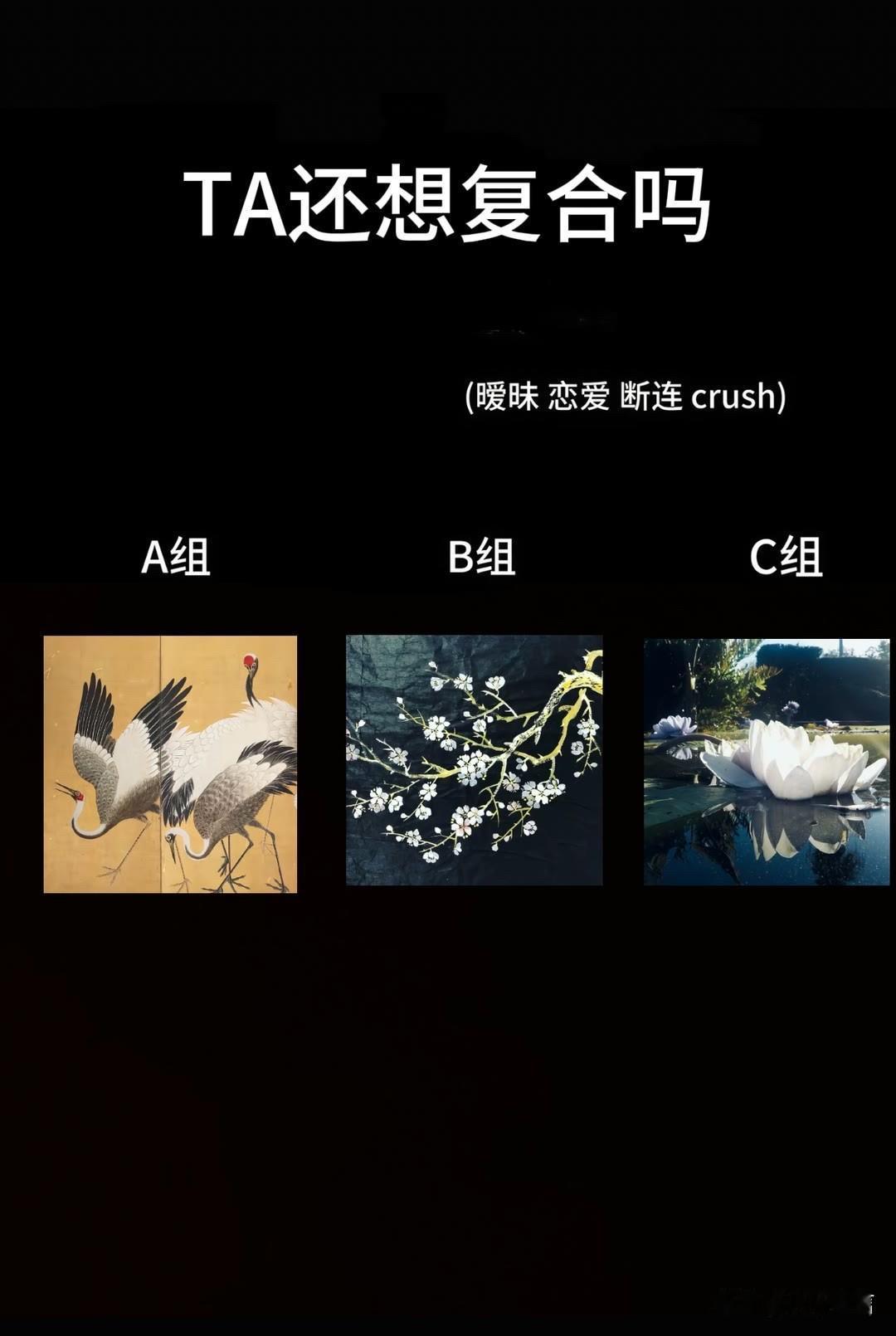 (暧昧恋爱断连crush)
