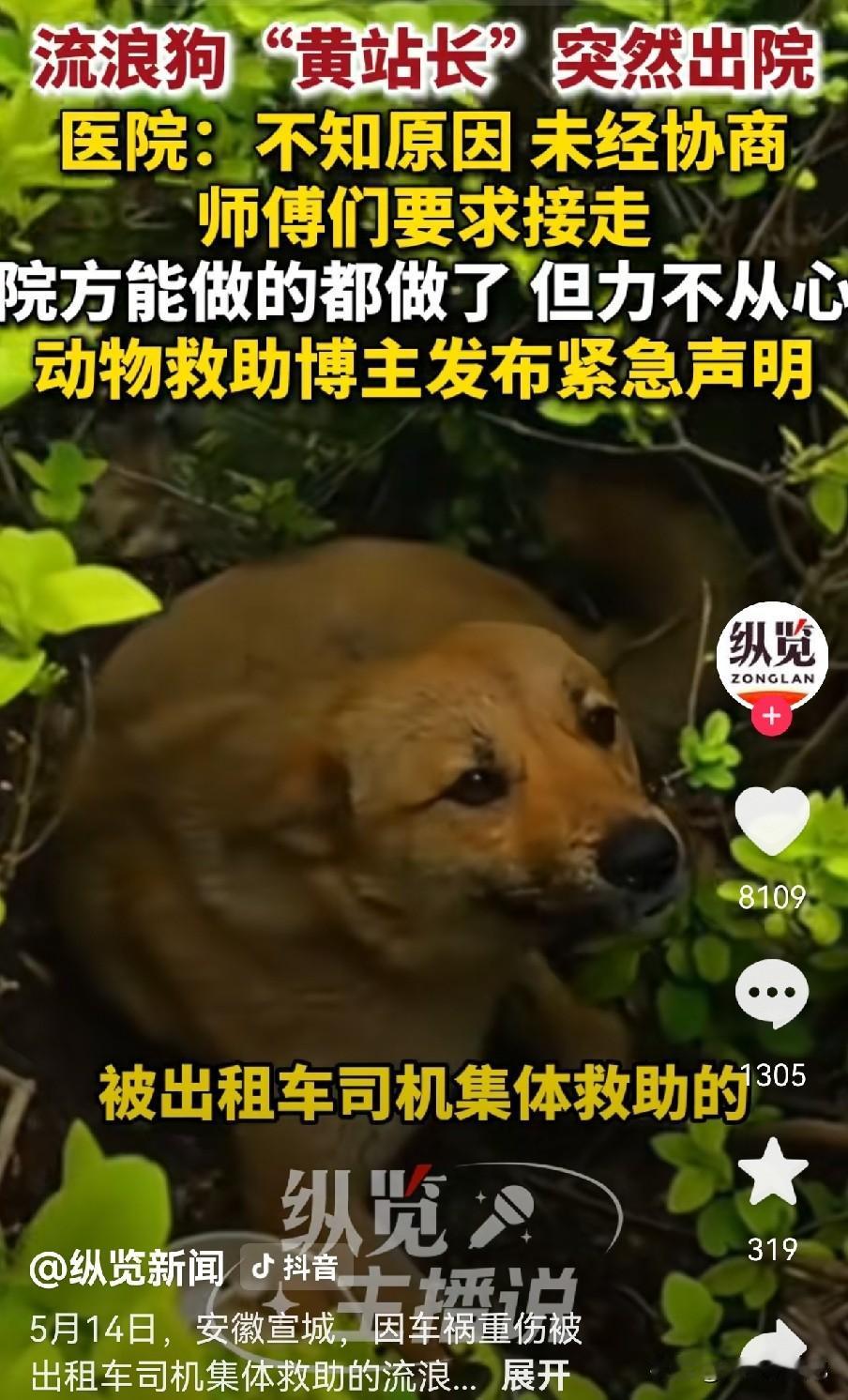 很多宣城人都牵挂的高铁站小狗“黄站长”，终于迎来圆满结局！
 
还记得今年4月1
