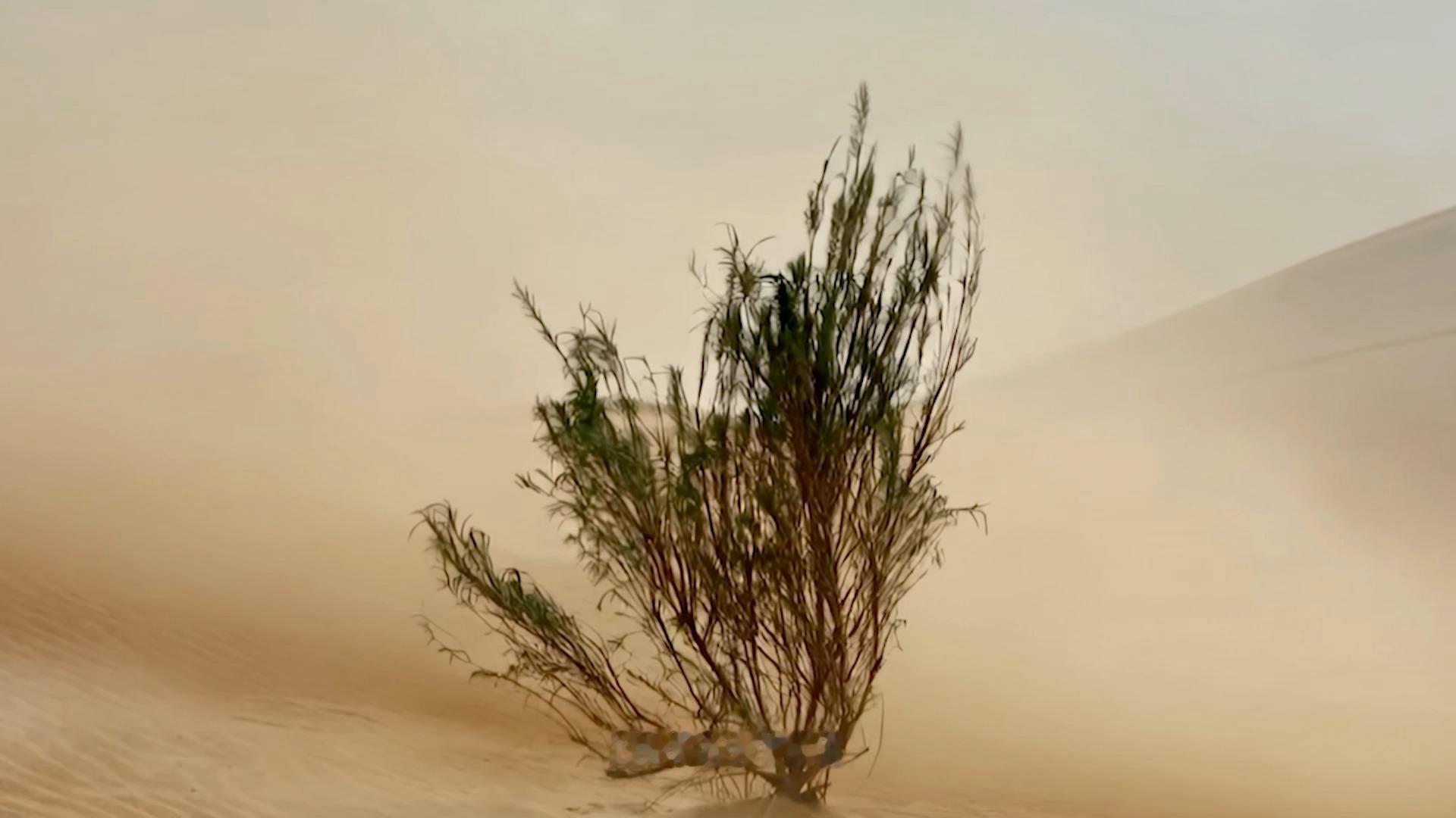 张云龙说这是世界杯级防守 足球圈有个永恒的辩题：什么才算世界杯级防守？是马尔蒂尼