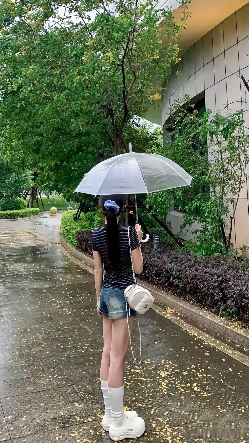 霸都春雨迷惑行为大赏：花和雨谁更疯🌸💦

昨晚大雨哐哐砸窗
今早中雨继续营业