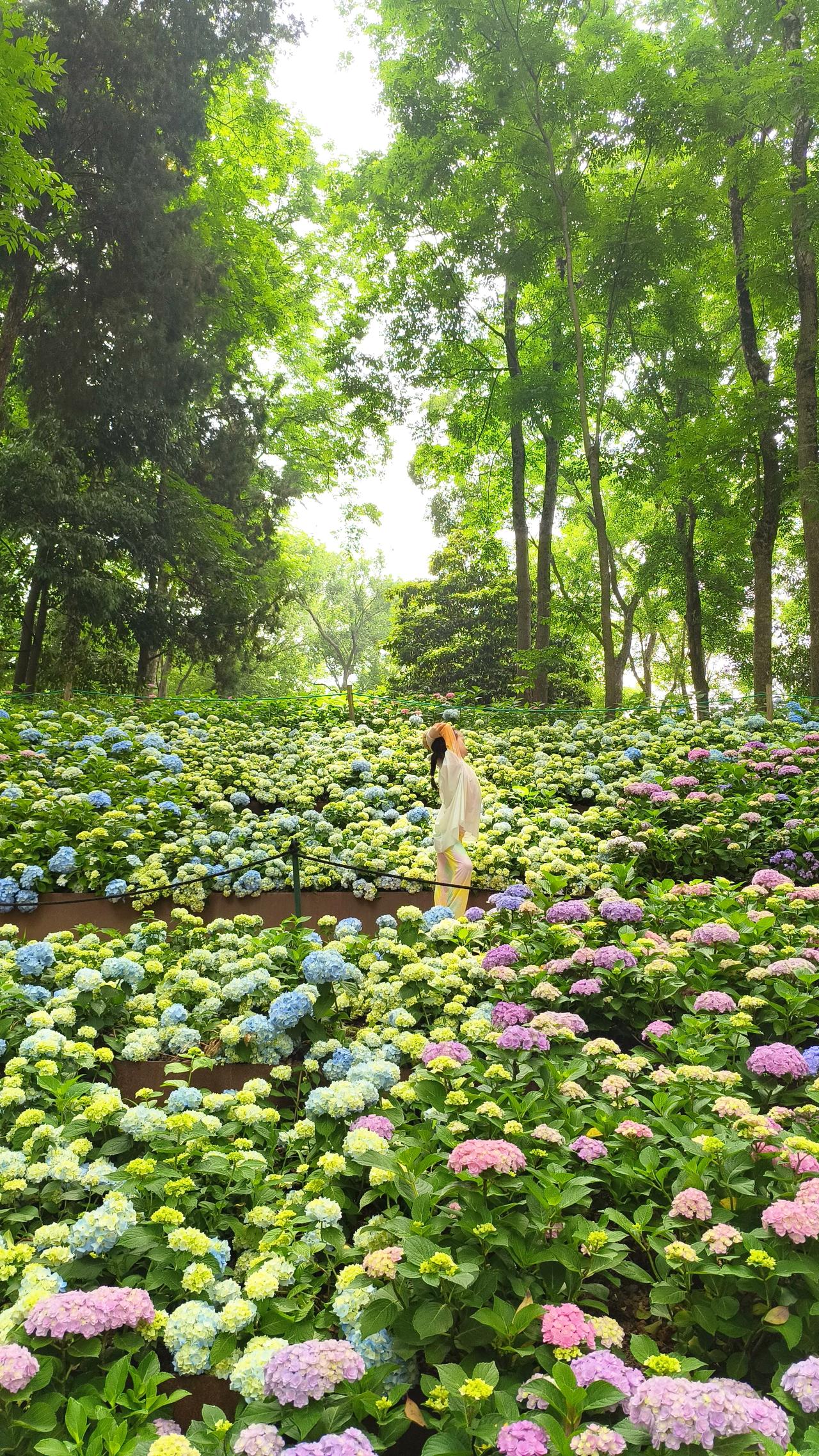 工作中，我们常面临各种难题。夏天热得要死，冬天冷得要命，还可能因地铁延误迟到被罚