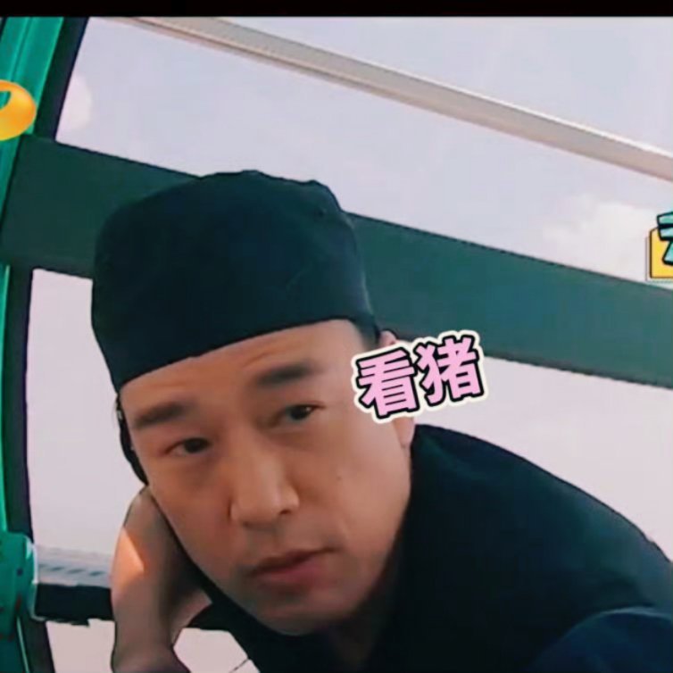 王耀庆带猪这段完播率200% 王耀庆一本正经搞追踪反追踪，旁边的猪直接睡懵摔下椅