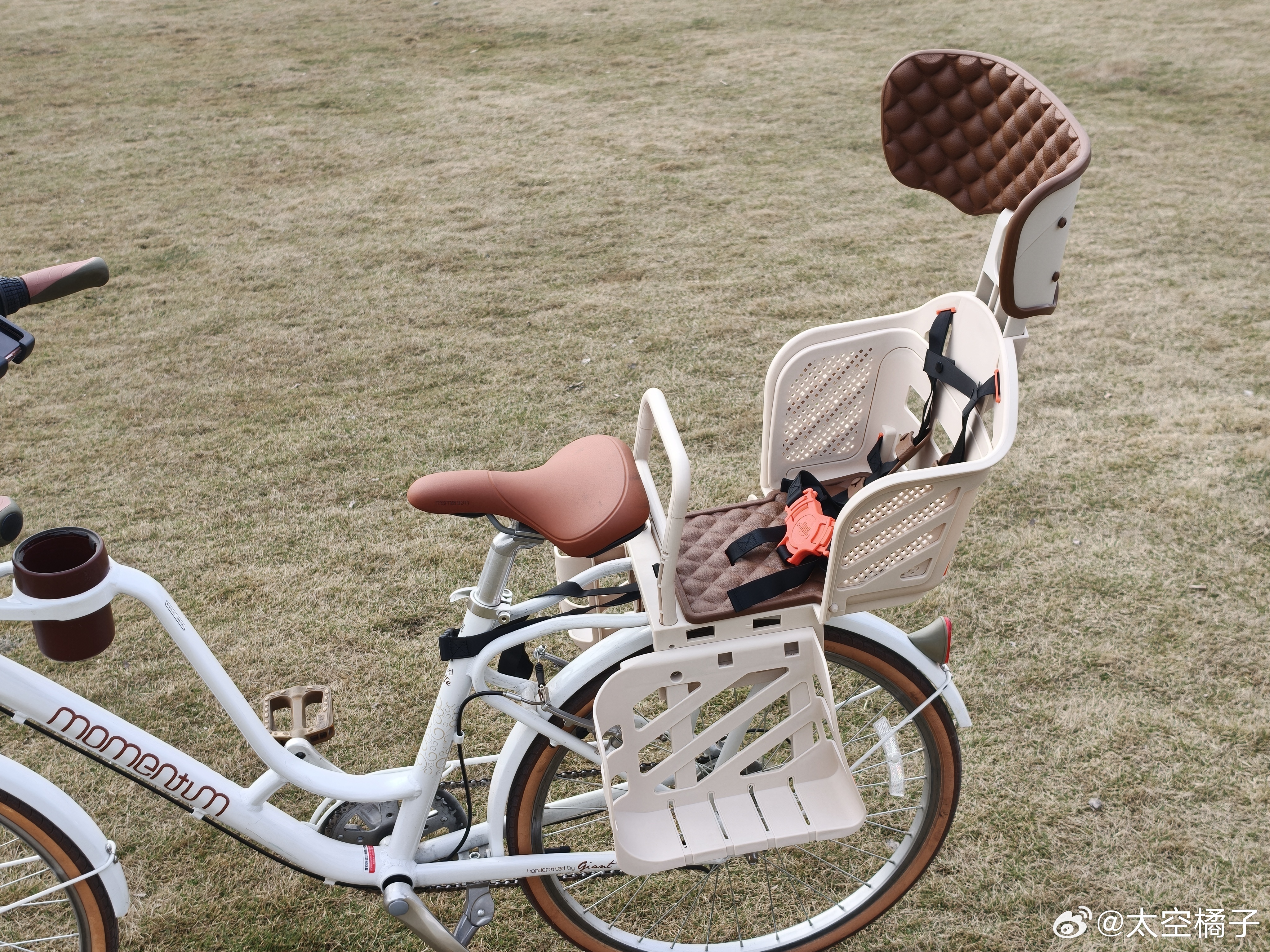 捷安特拿铁升级了春天带娃的尽头是骑行买的儿童座椅配色特别搭配产品的细节非常不错五