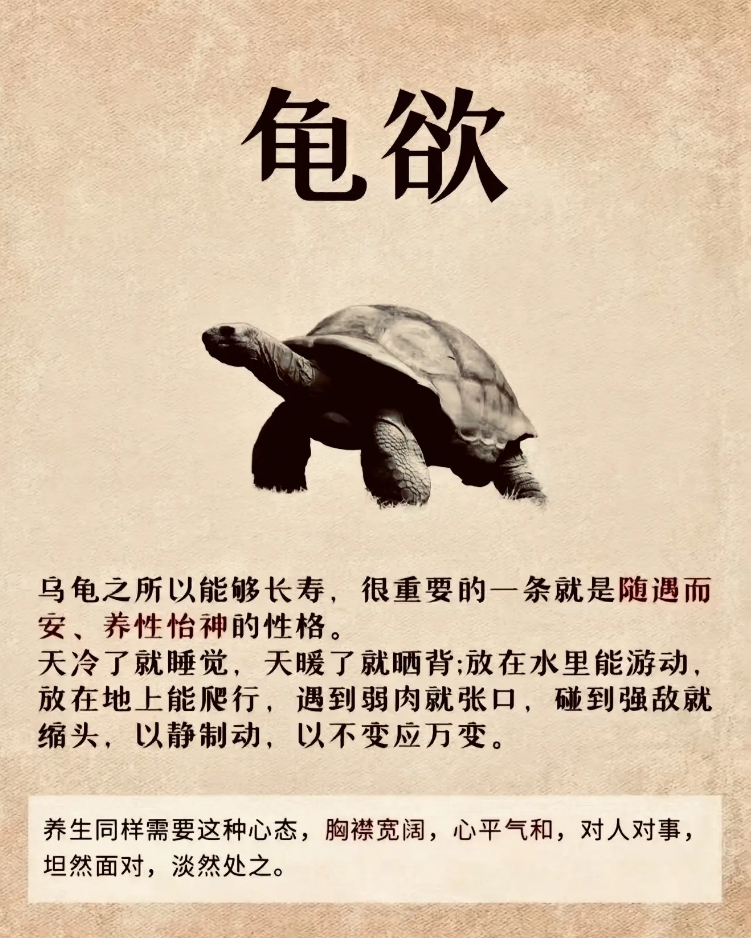 养生有道，妙不可言！养身且怡情，愿君同悟此中妙哉。 