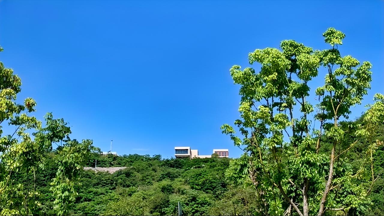 一位经济学家说：“现在最严重的问题，已经不是00后不结婚，90后不生娃，而是生娃