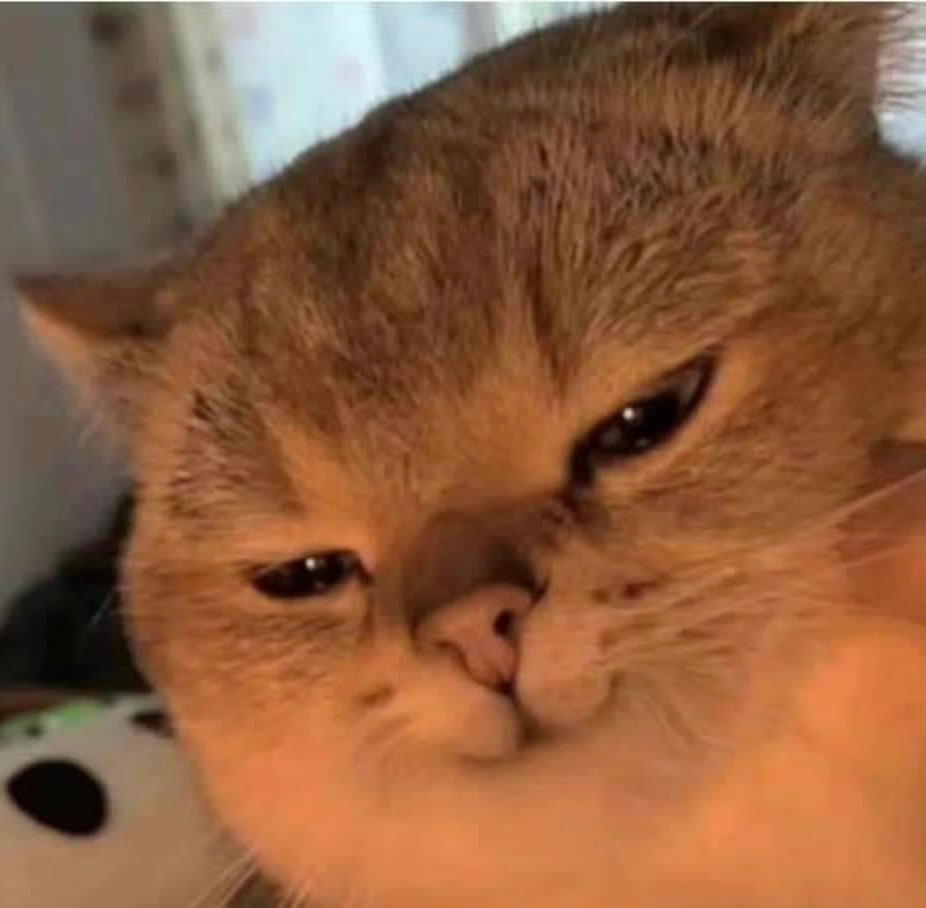 又做了点好东西，现在心情be like。 