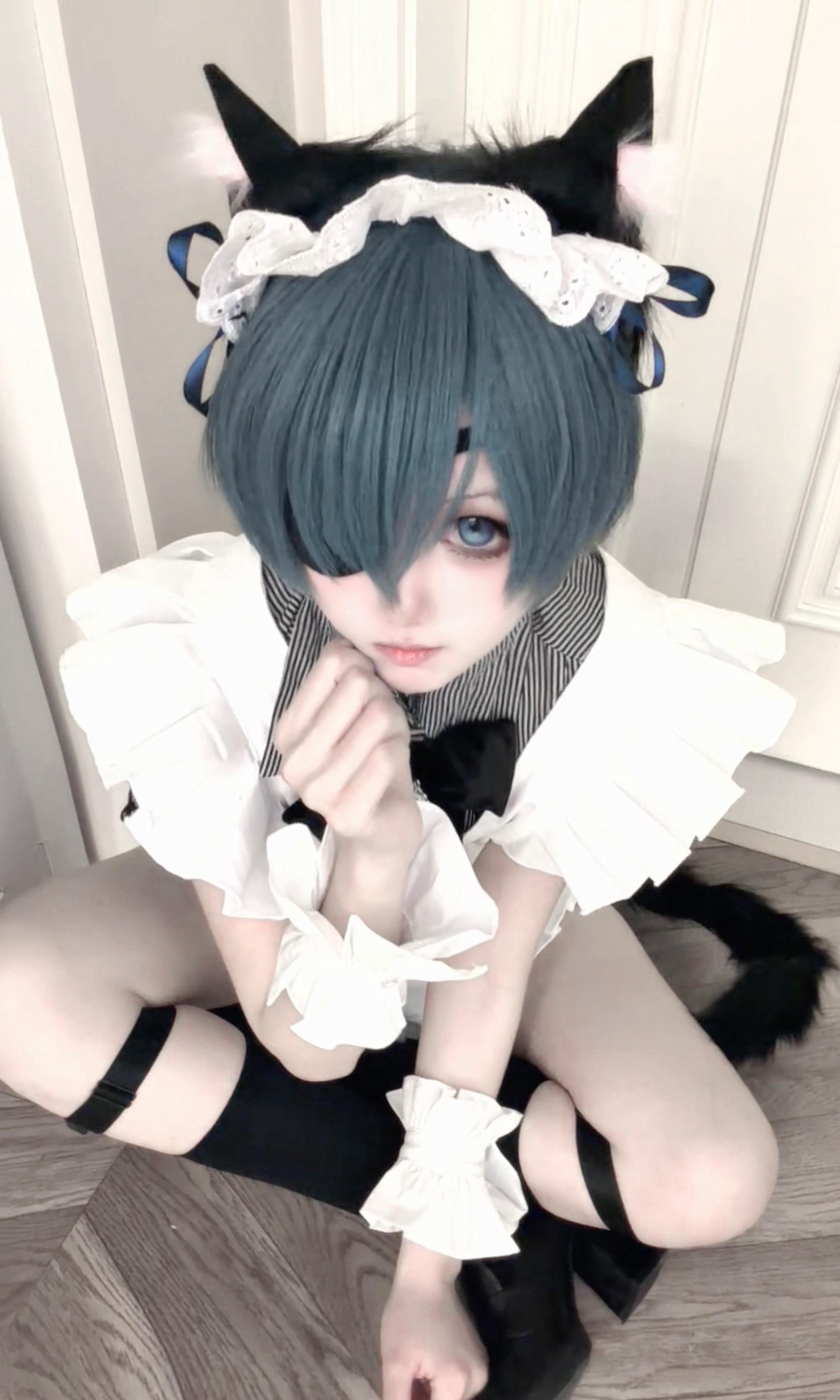 墙角里长出了猫^ω^