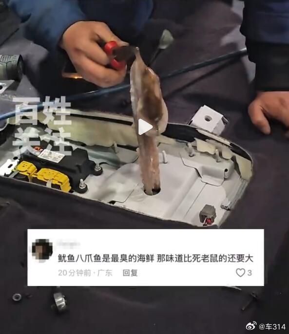 八爪鱼这种生物，那可是挺聪明的，只要有个小缝就能溜走，因为它身体是柔软的，就跟键