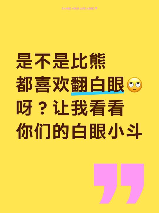 是不是比熊都喜欢翻白眼🙄呀？让我看看你们的白眼小斗