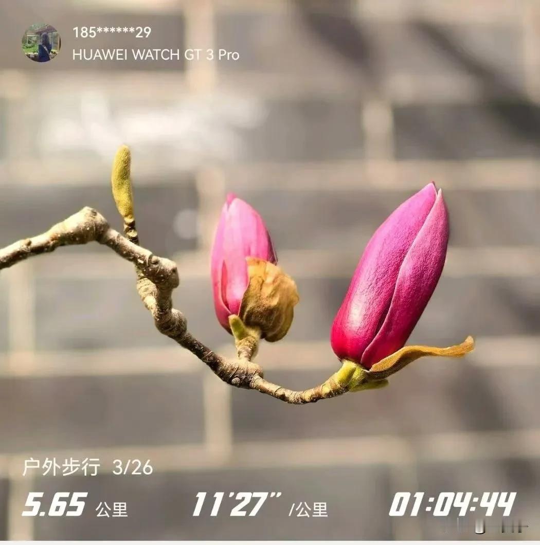 尼采说 : 不能听命于自己者，便要听命于他人。这就是生物之道。