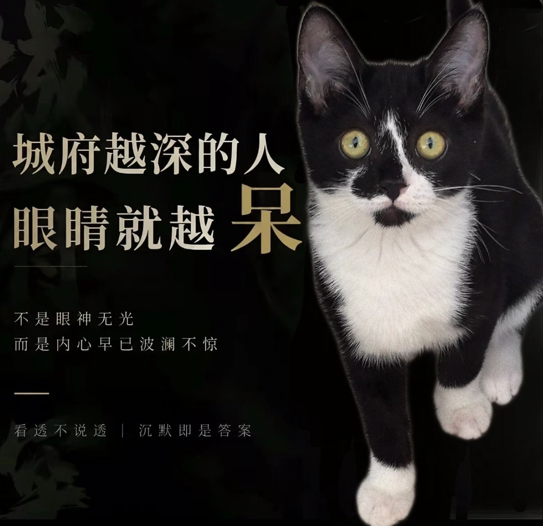 “奥利是一位顶级禅修者…后面忘了”奶啵展馆 （投稿：） 