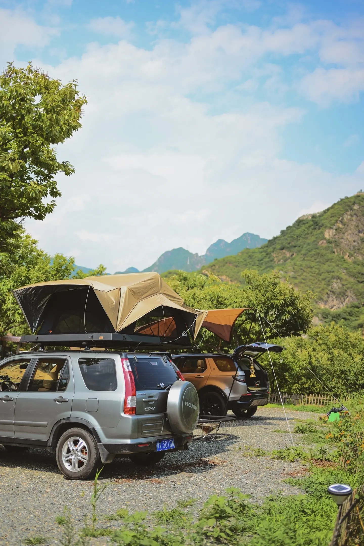 开着18岁的老车带小狗四处游荡！