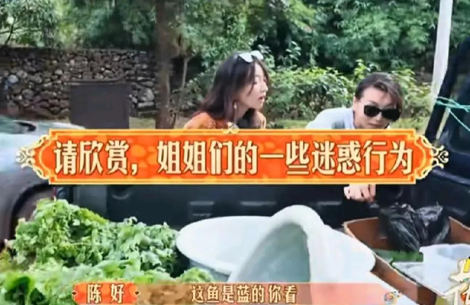 陈好和宋茜真是个好奇宝宝，看见别人的鱼是蓝色踮起脚尖也要看一下，还问摊主：“我可