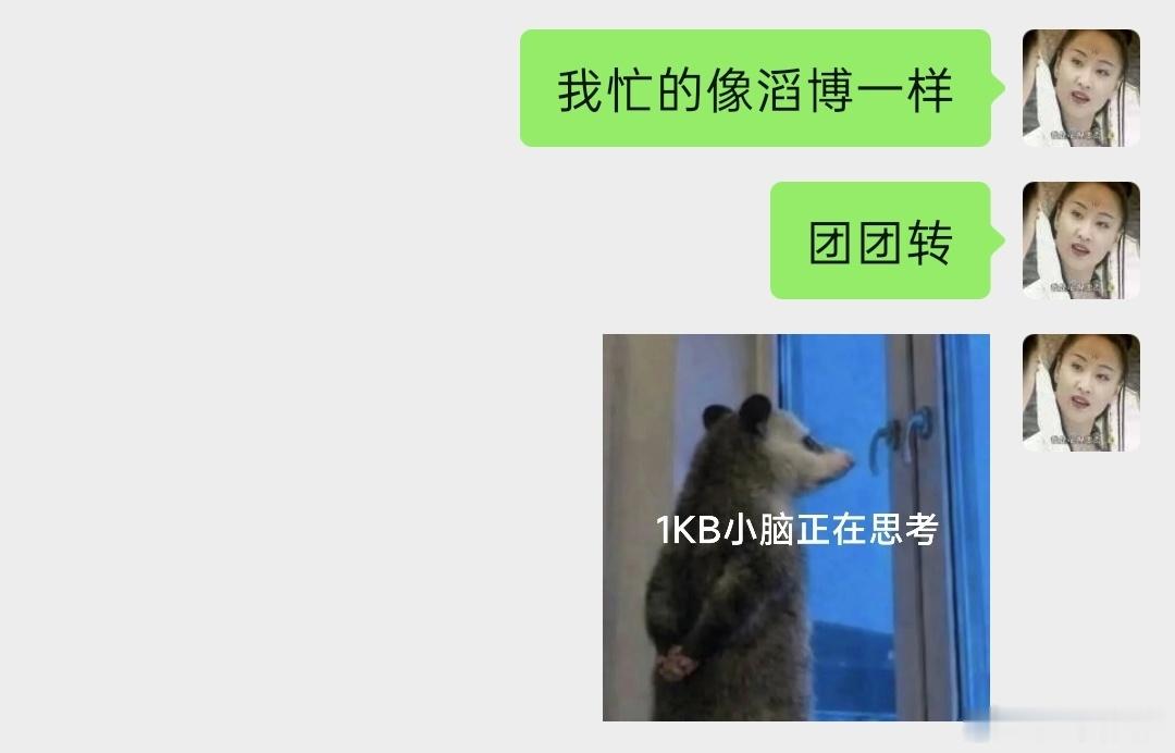 我的表达能力:（“的”纠正为“得”） 