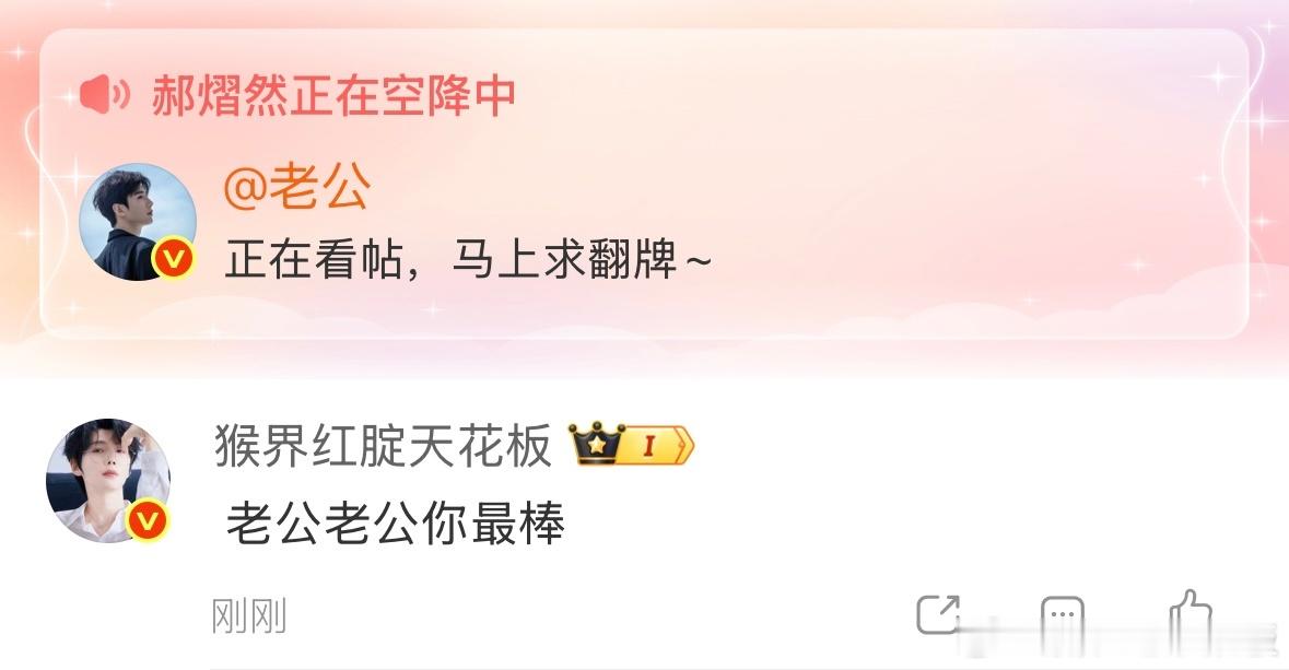 同框[兔子] ​​​